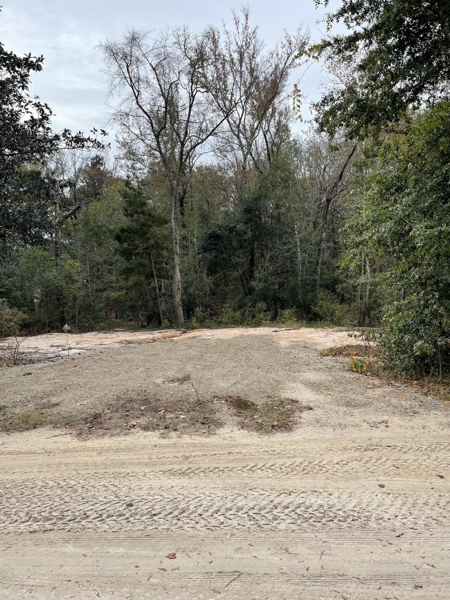 Residential Vacant cleared, leveled & ready to build on. corner lot, right side of BH Reddick road, and south side of Alford Ct. Lot can be shown anytime. Sign on property. Buyer needs to Confirm all information with Walton County. Manufactured or RV home acceptable. In residential neighborhood with no restrictions or HOA. Just a very short walk to the Choctawatchee River. BH Reddick dead ends at the river.