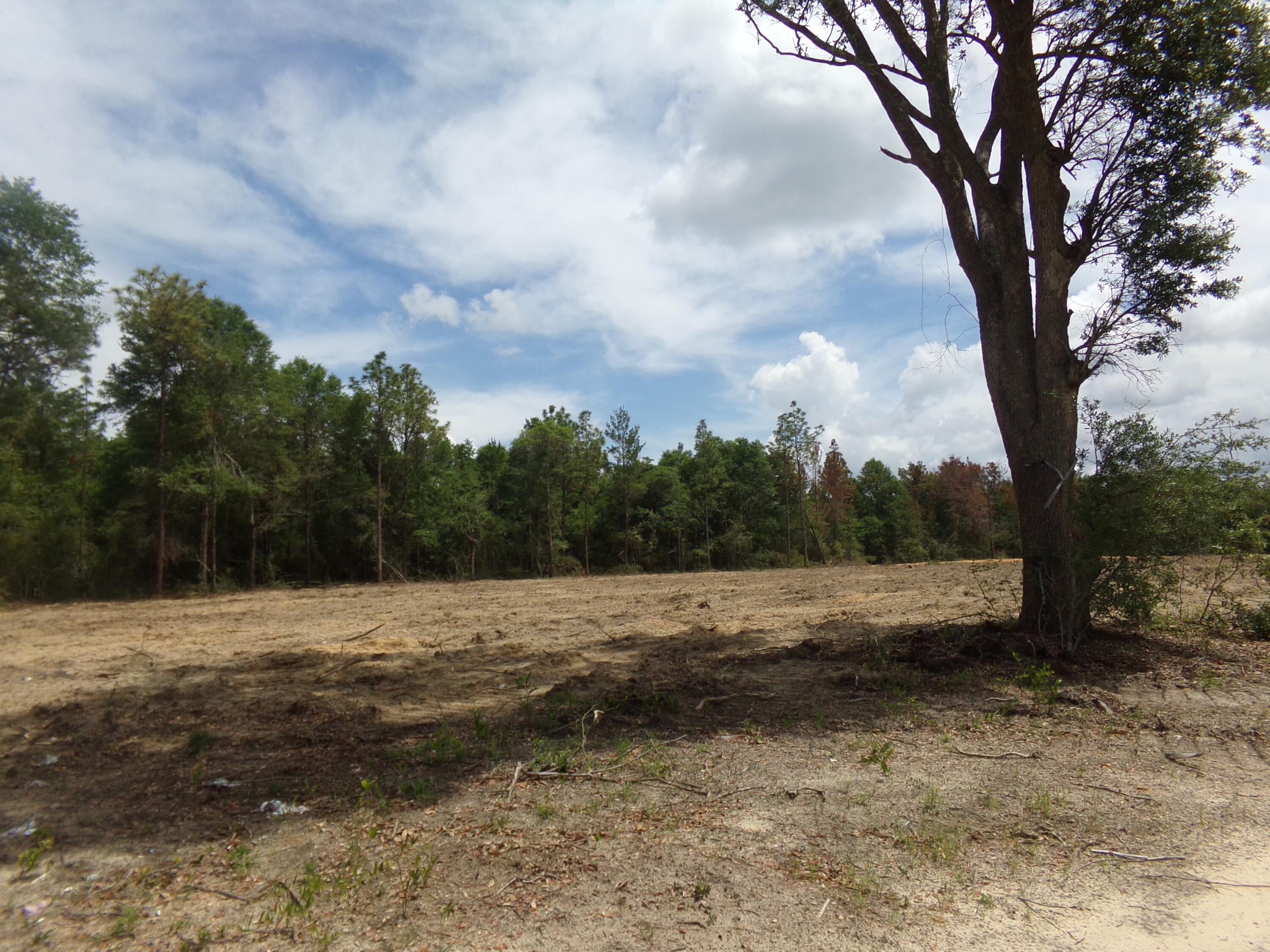 6.2 acres zoned commercial~ This acreage has over a 1,000 foot of highway frontage on Hwy 90 East~ This commercial acreage is just west of Hwy 285 in Mossy Head~ There are business' coming into the local area here between 393 and 285, as well as new construction for homes~ The land was cleared, is level and zoning work has been completed~ Don't let this commercial property pass you by~ Survey as well as Traffic Analysis has been completed~ Photos are when seller had the land cleared several years ago, new photo's