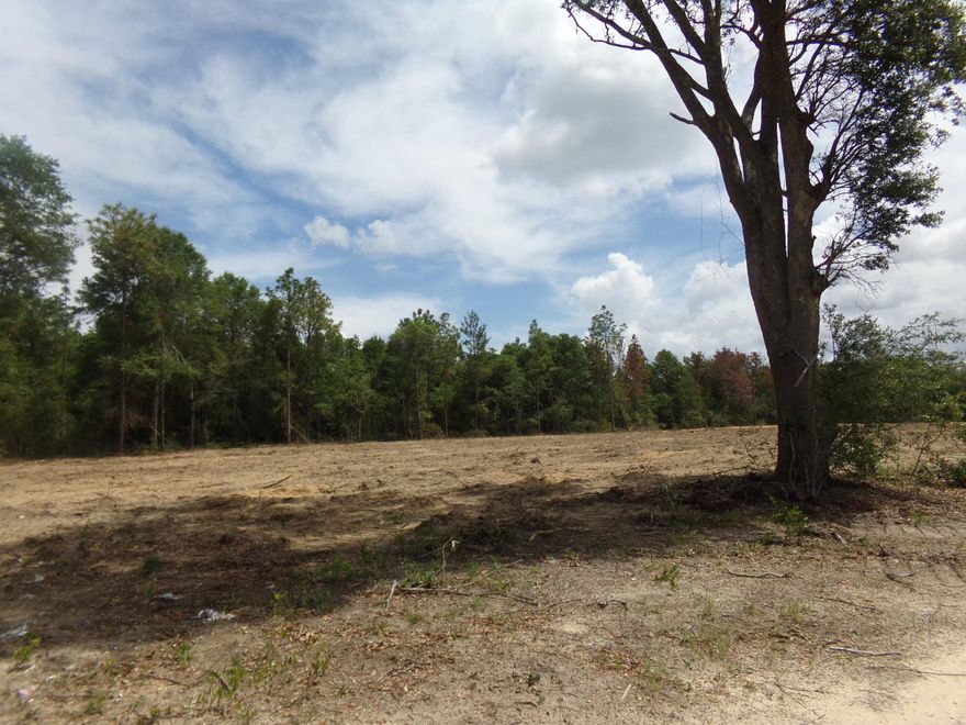 6.2 acres zoned commercial~ This acreage has over a 1,000 foot of highway frontage on Hwy 90 East~ This commercial acreage is just west of Hwy 285 in Mossy Head~ There are business' coming into the local area here between 393 and 285, as well as new construction for homes~ The land was cleared, is level and zoning work has been completed~ Don't let this commercial property pass you by~ Survey as well as Traffic Analysis has been completed~  Photos are when seller had the land cleared several years ago, new photo's