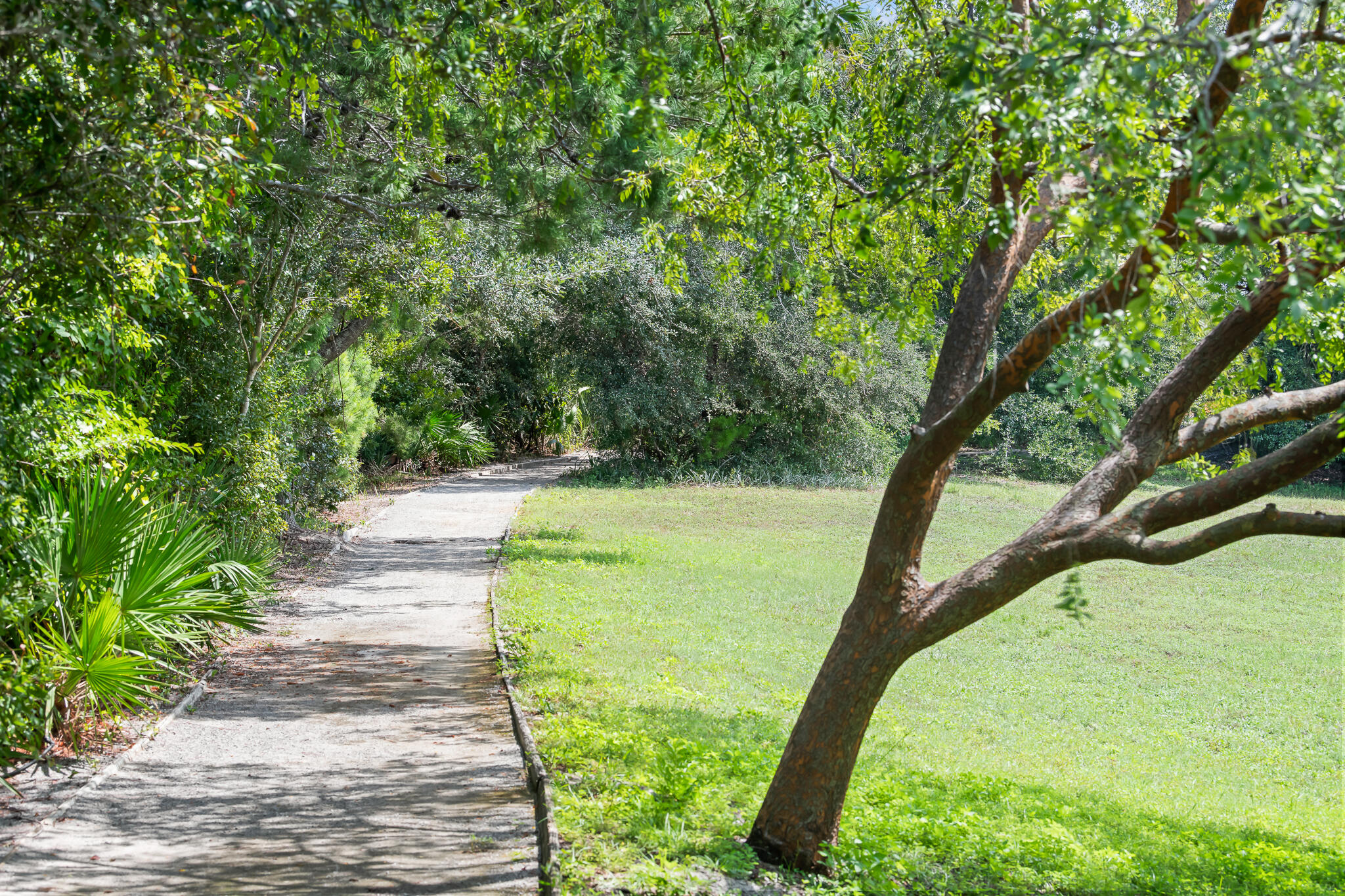 Gulf Place Courtyard - Residential