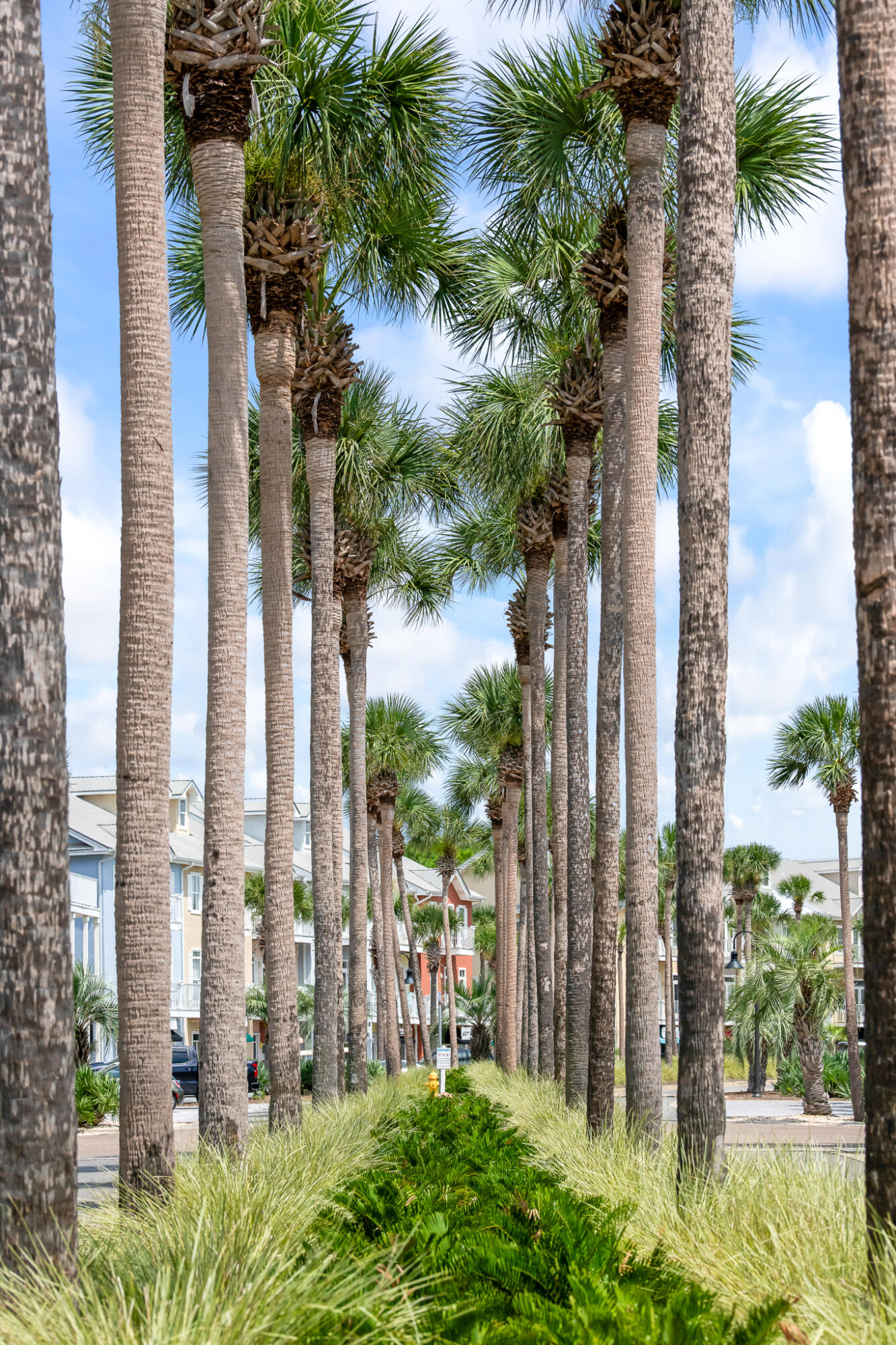 Gulf Place Courtyard - Residential