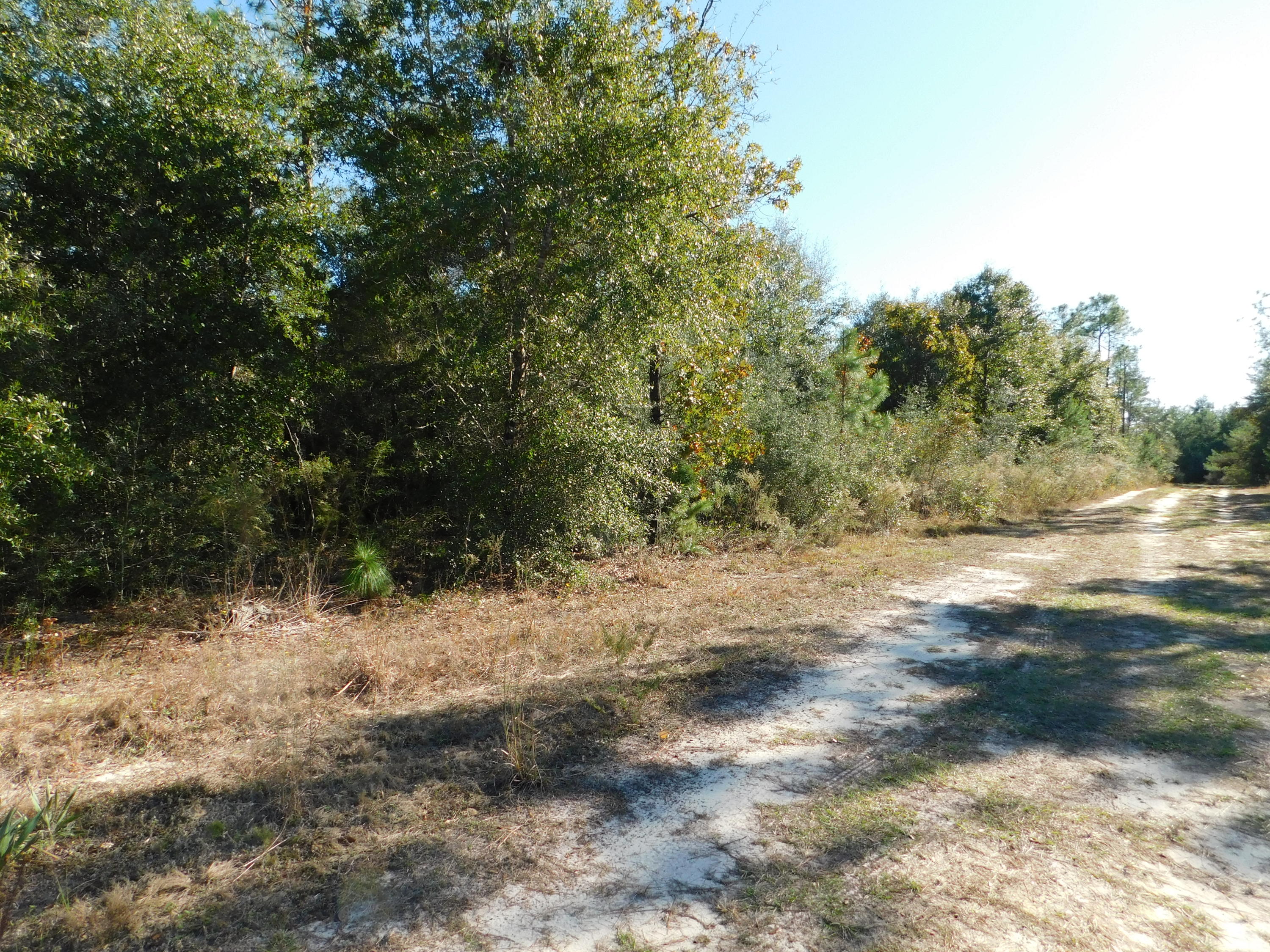 METES & BOUNDS - Land