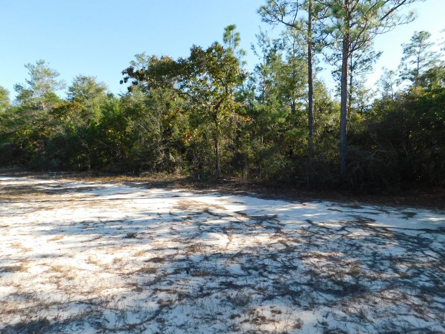 Planning to build on at least an Acre just outside the city limits. Look no further. This wooded lot is ready for your Home Plans to begin. Located just passed the Shoal River Bridge this lot boast of opportunity to have Home being tucked in to the woods yet ease of access to the main part of town. Come drive by and take a look today. Buyer to verify all information deemed important.