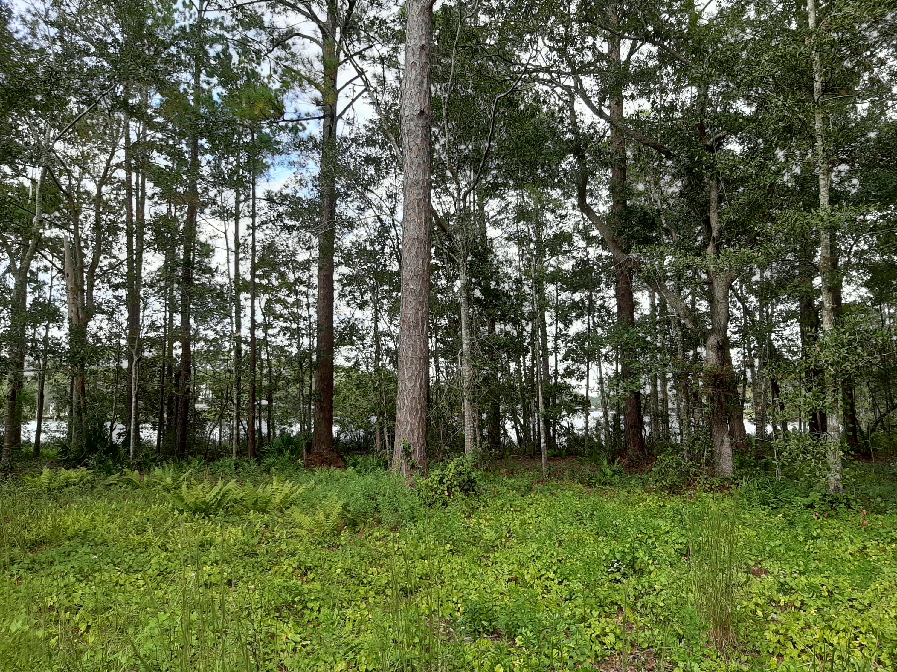 NO RECORDED SUBDIVISION - Land