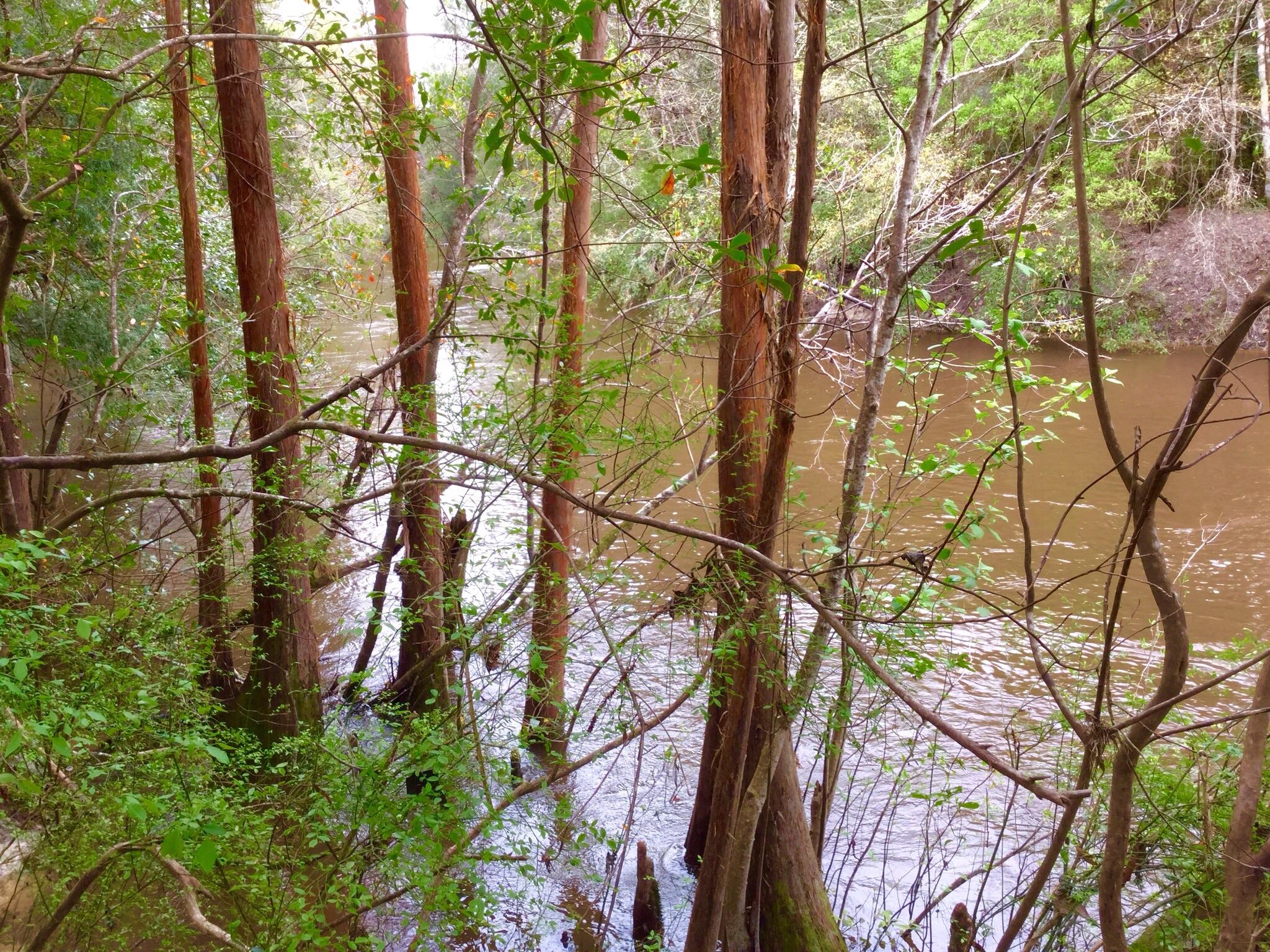 NO RECORDED SUBDIVISION - Land