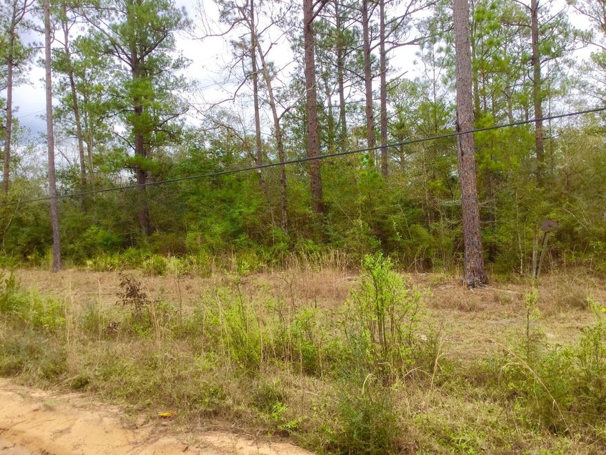 Oh, the possibilities are endless with what you can do with this beautiful wooded parcel. Walk past the mature hardwood trees to the back of the property and you'll first hear the rushing of Pond Creek as it winds through the woods. What a site!! A great location to put in your kayak or go tubing. The property could be your own personal camp grounds or clear it and build your dream home or get away home. Don't miss your opportunity to own this little piece of paradise.