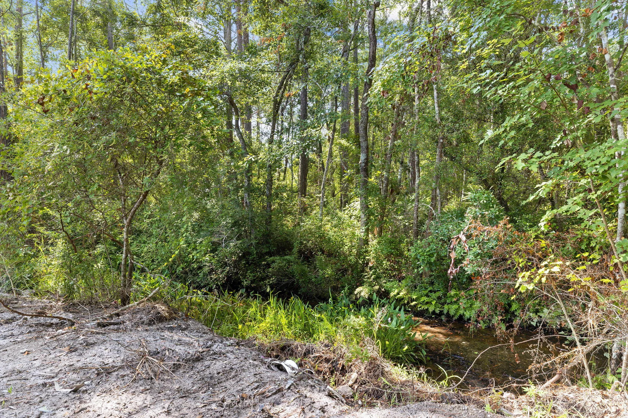 Santa Rosa Beach, Florida 32459, United States, 3 Bedrooms Bedrooms, ,2 BathroomsBathrooms,Residential,Active,51025