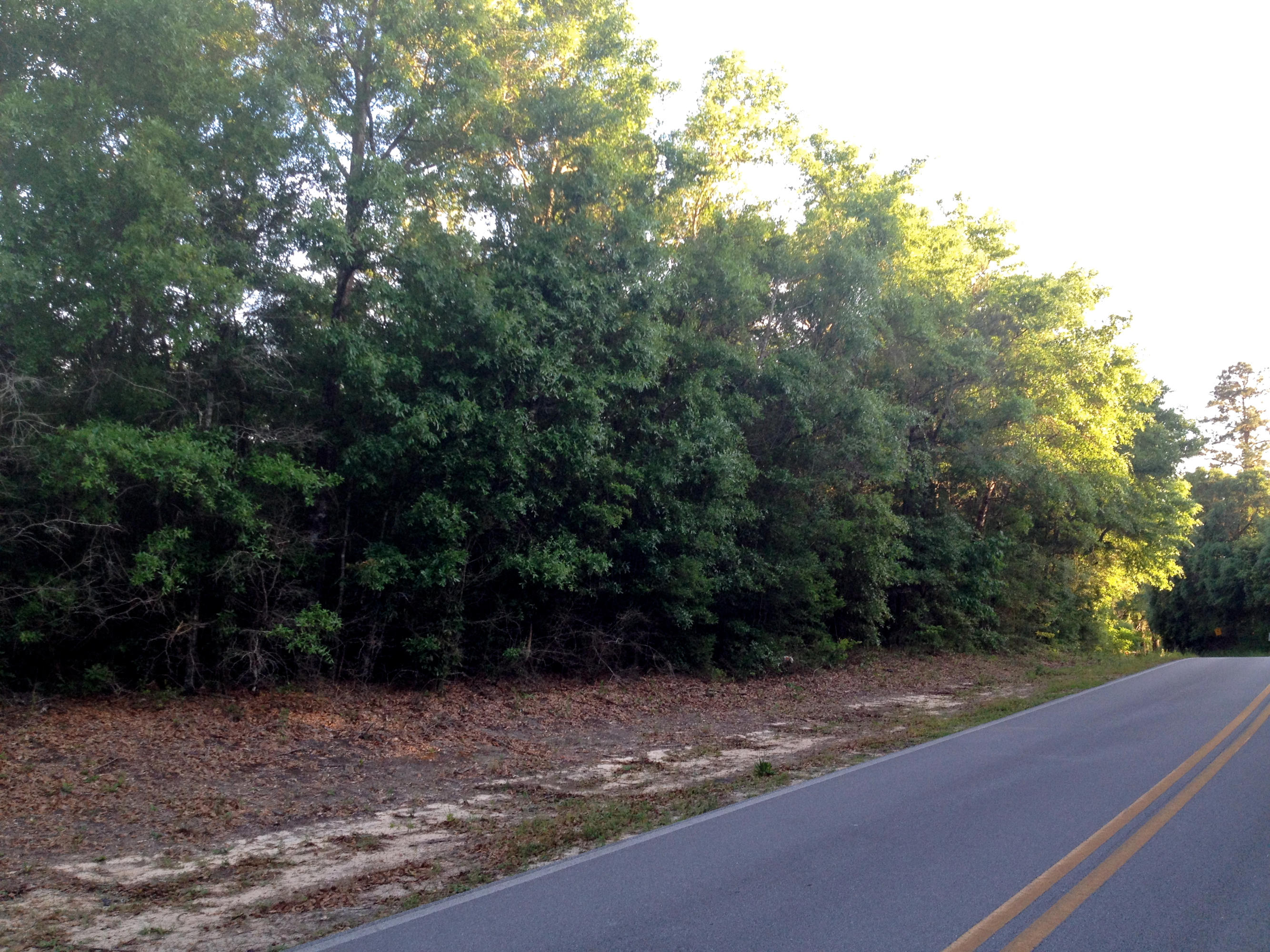 METES & BOUNDS - Land