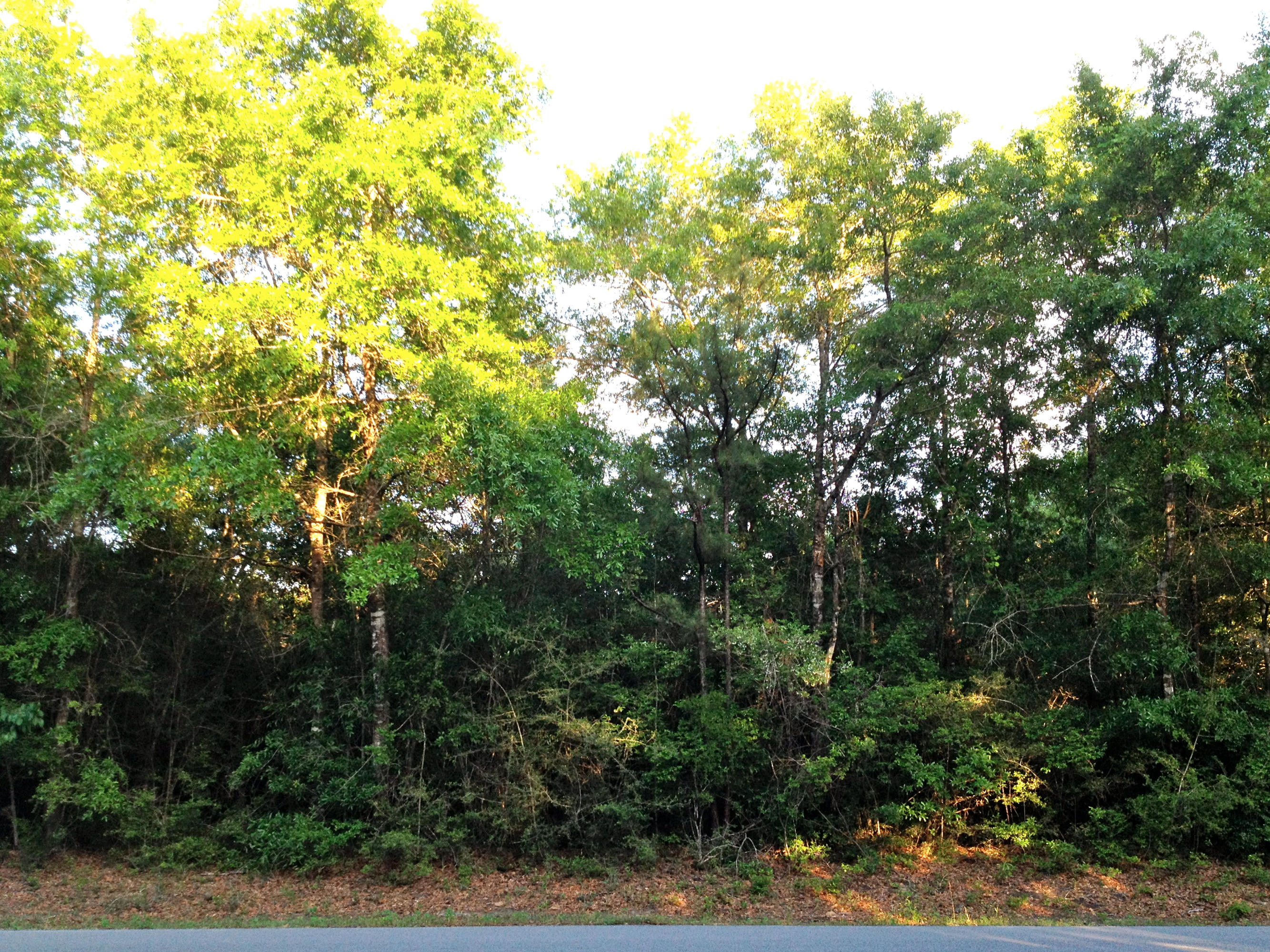 METES & BOUNDS - Land