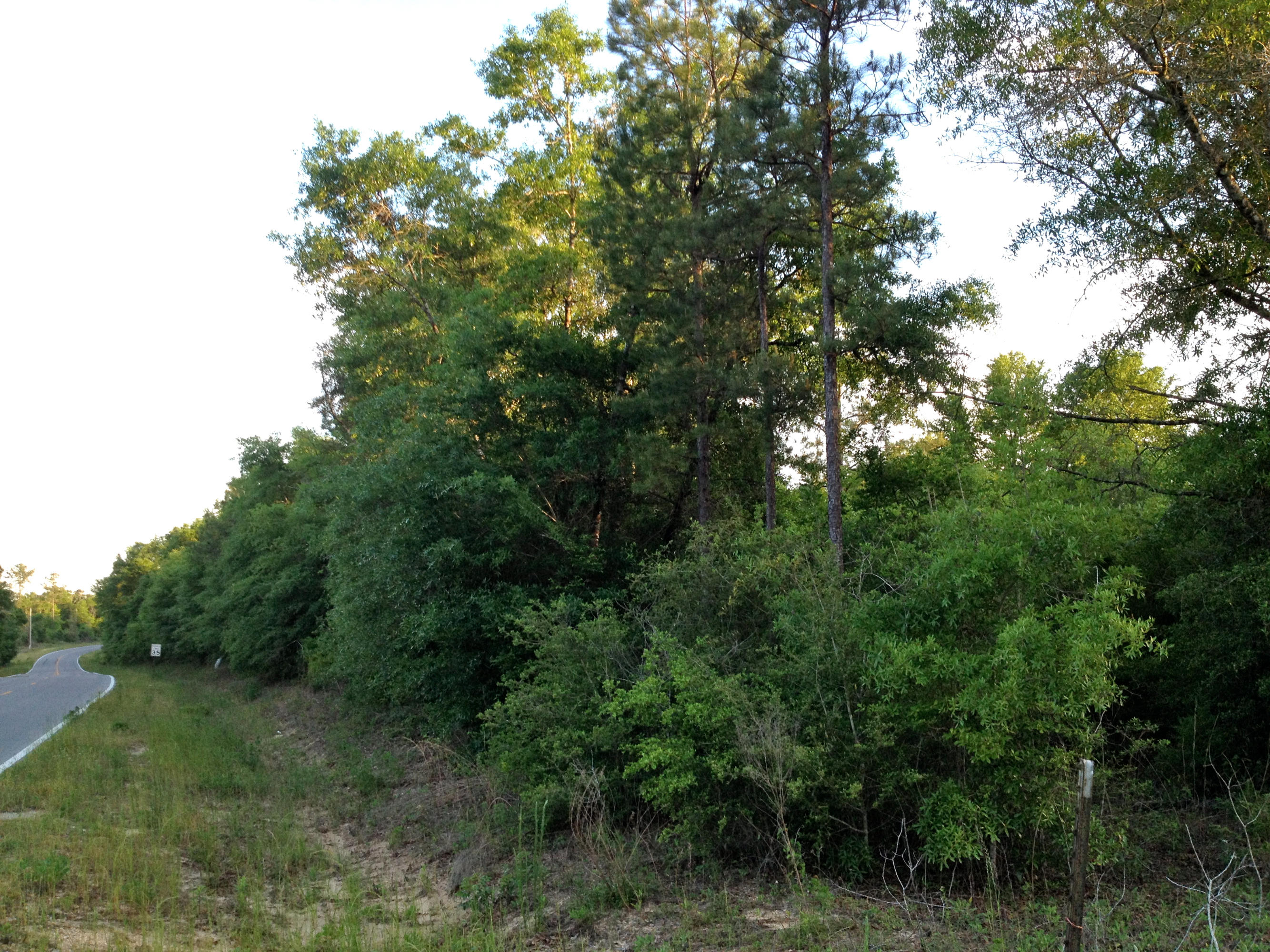 METES & BOUNDS - Land