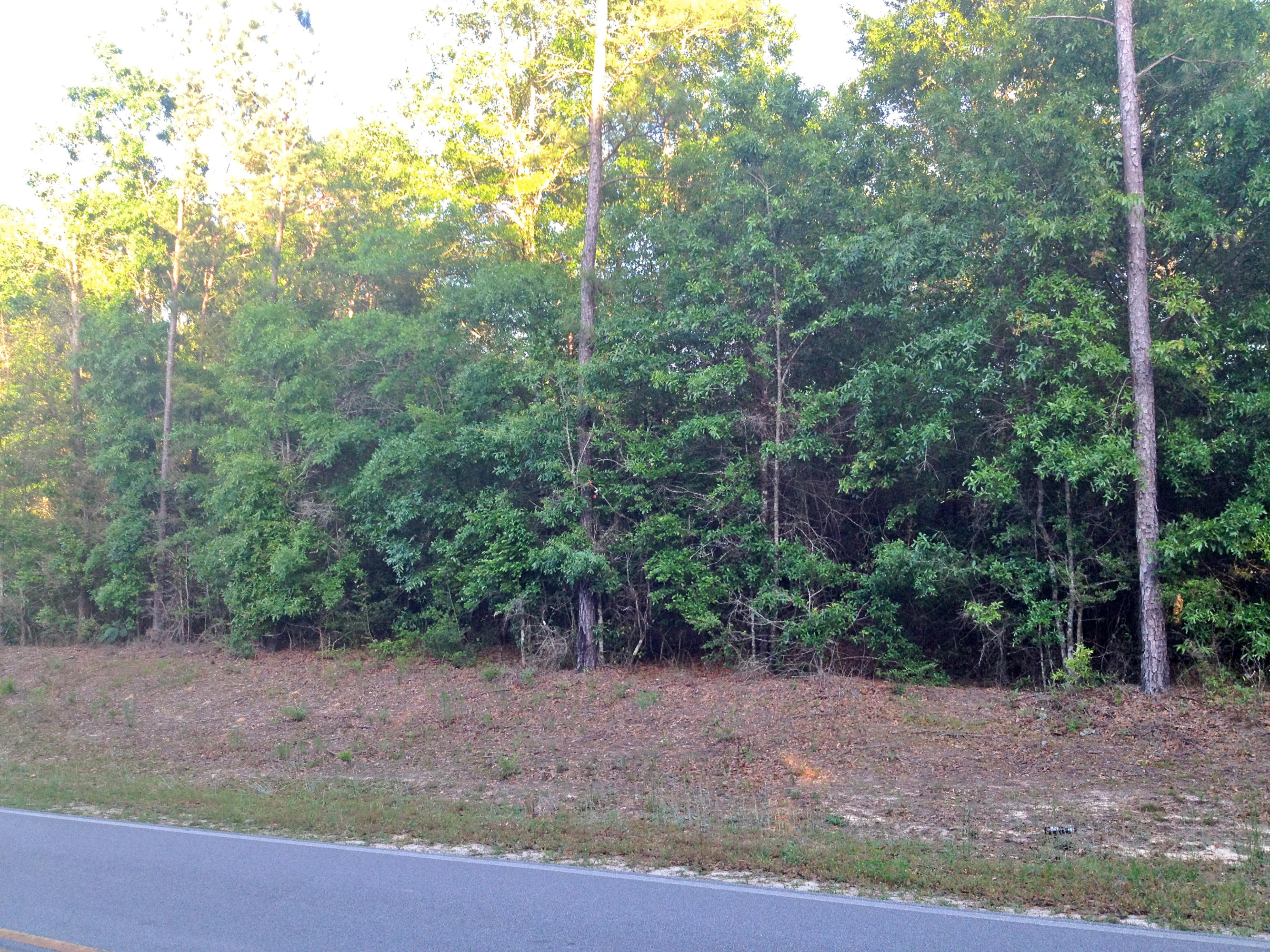 METES & BOUNDS - Land