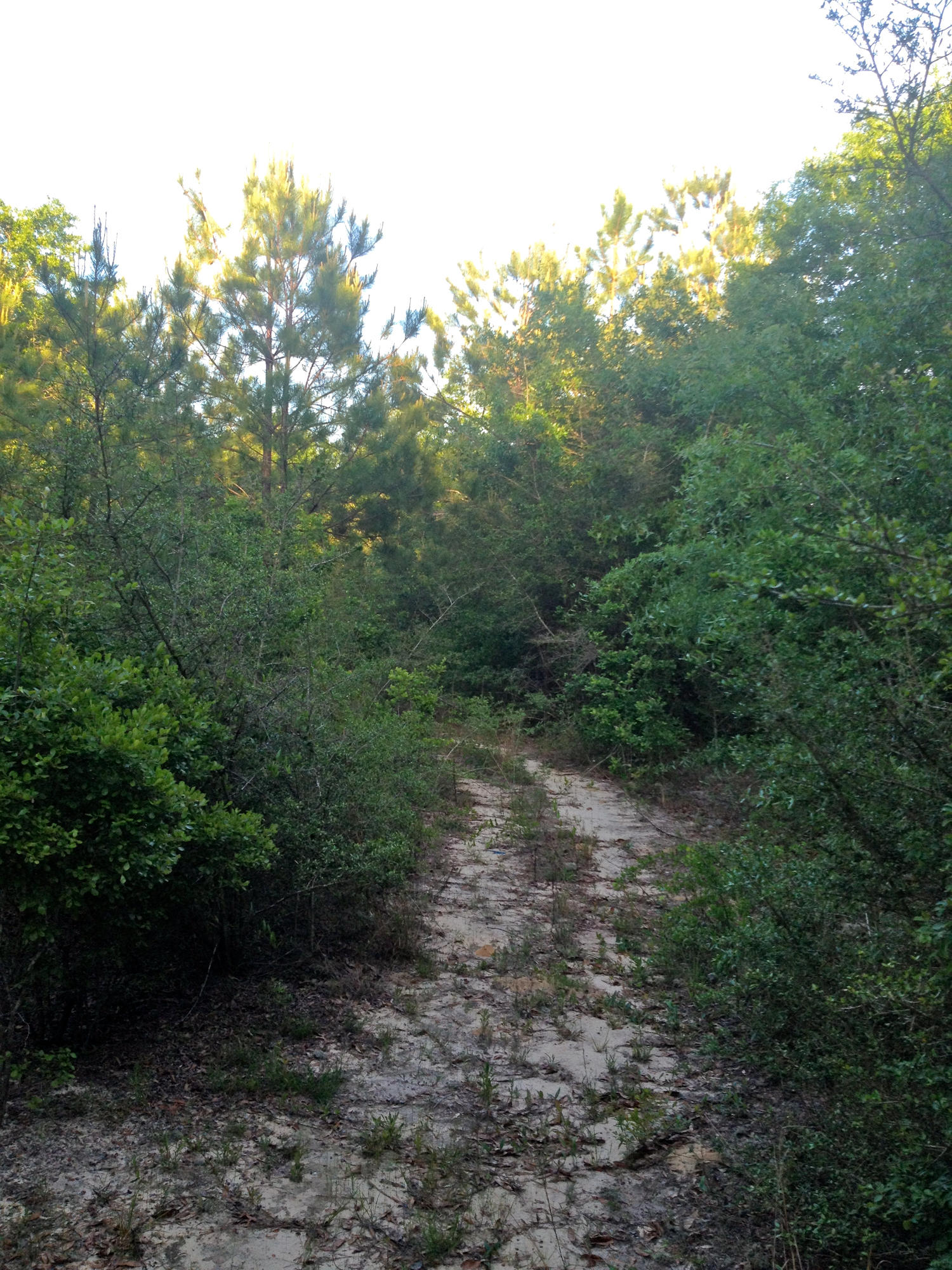 METES & BOUNDS - Land