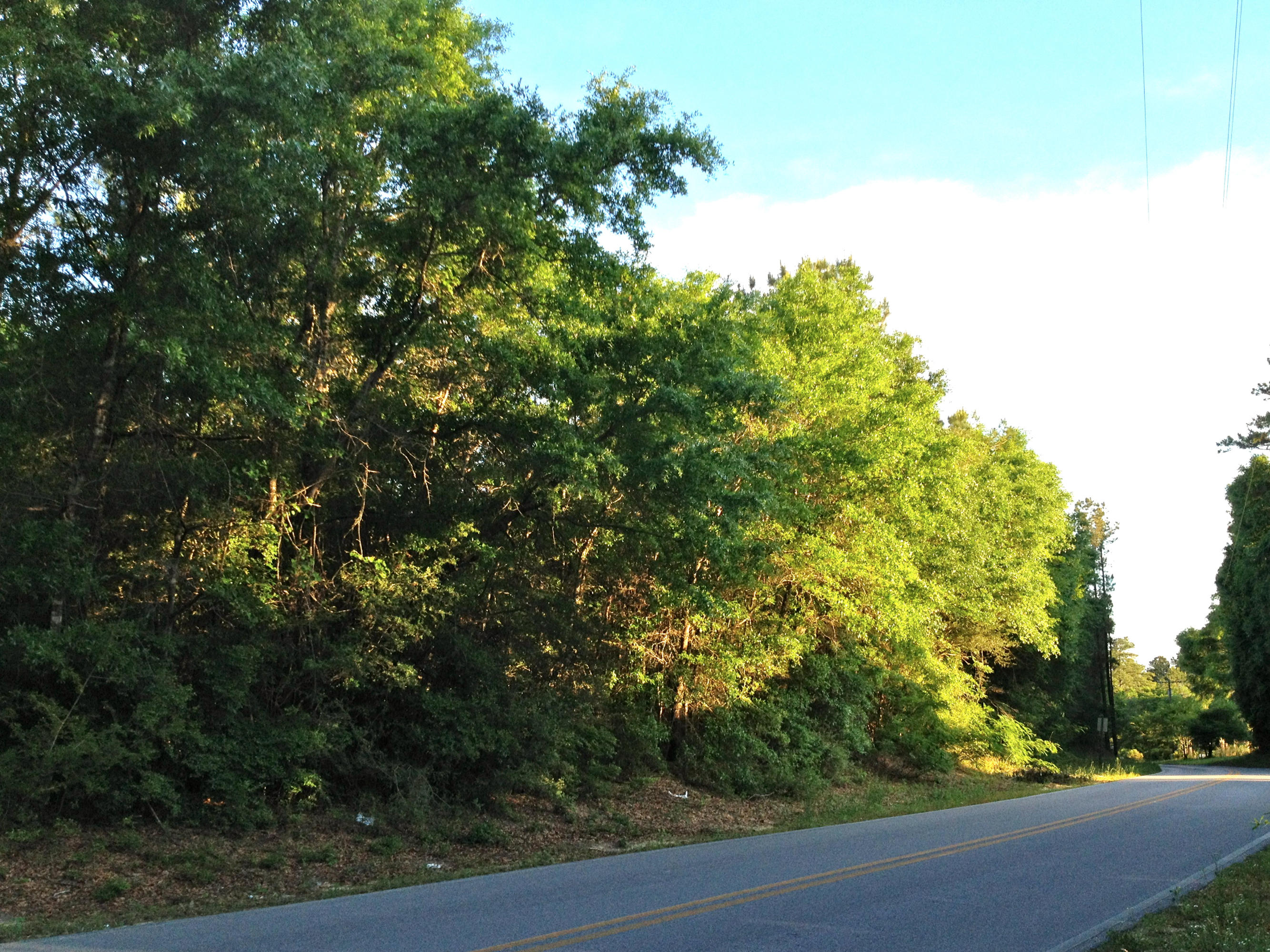 METES & BOUNDS - Land