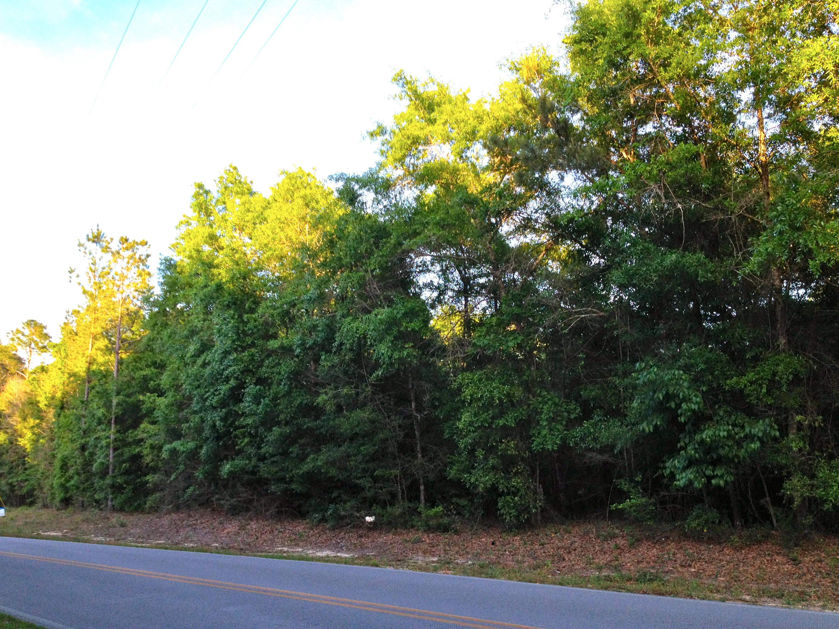 METES & BOUNDS - Land