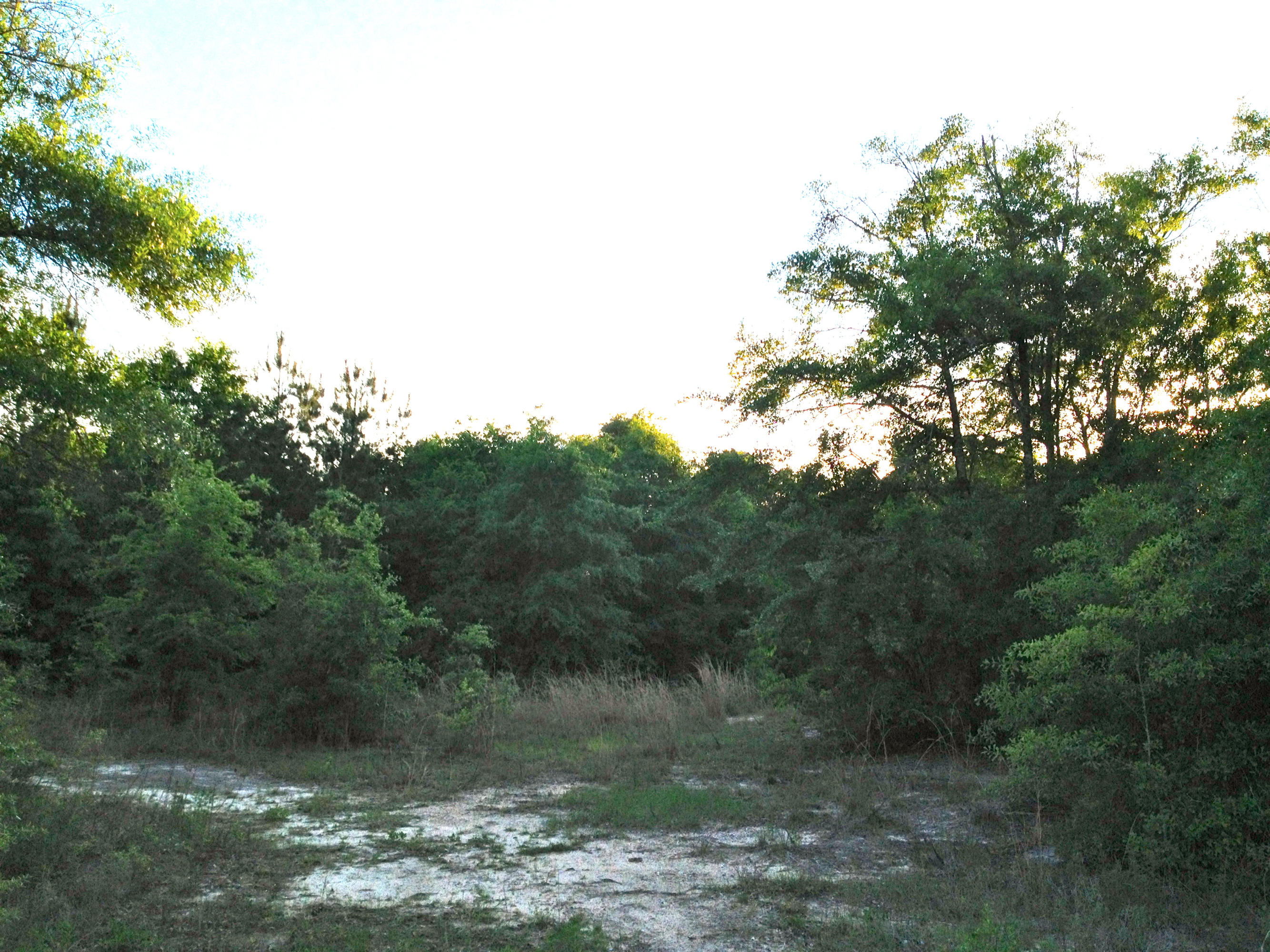 METES & BOUNDS - Land