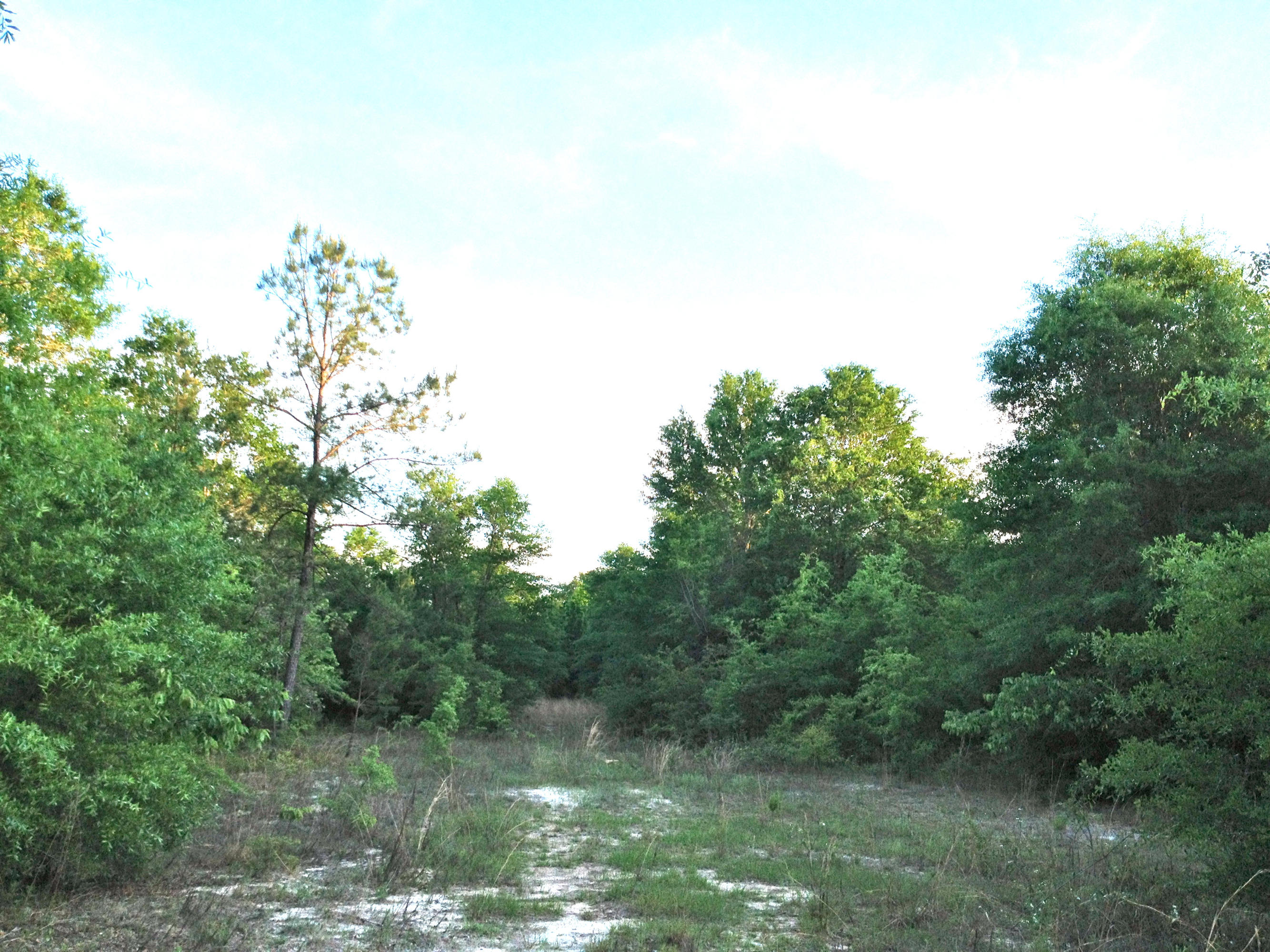 METES & BOUNDS - Land