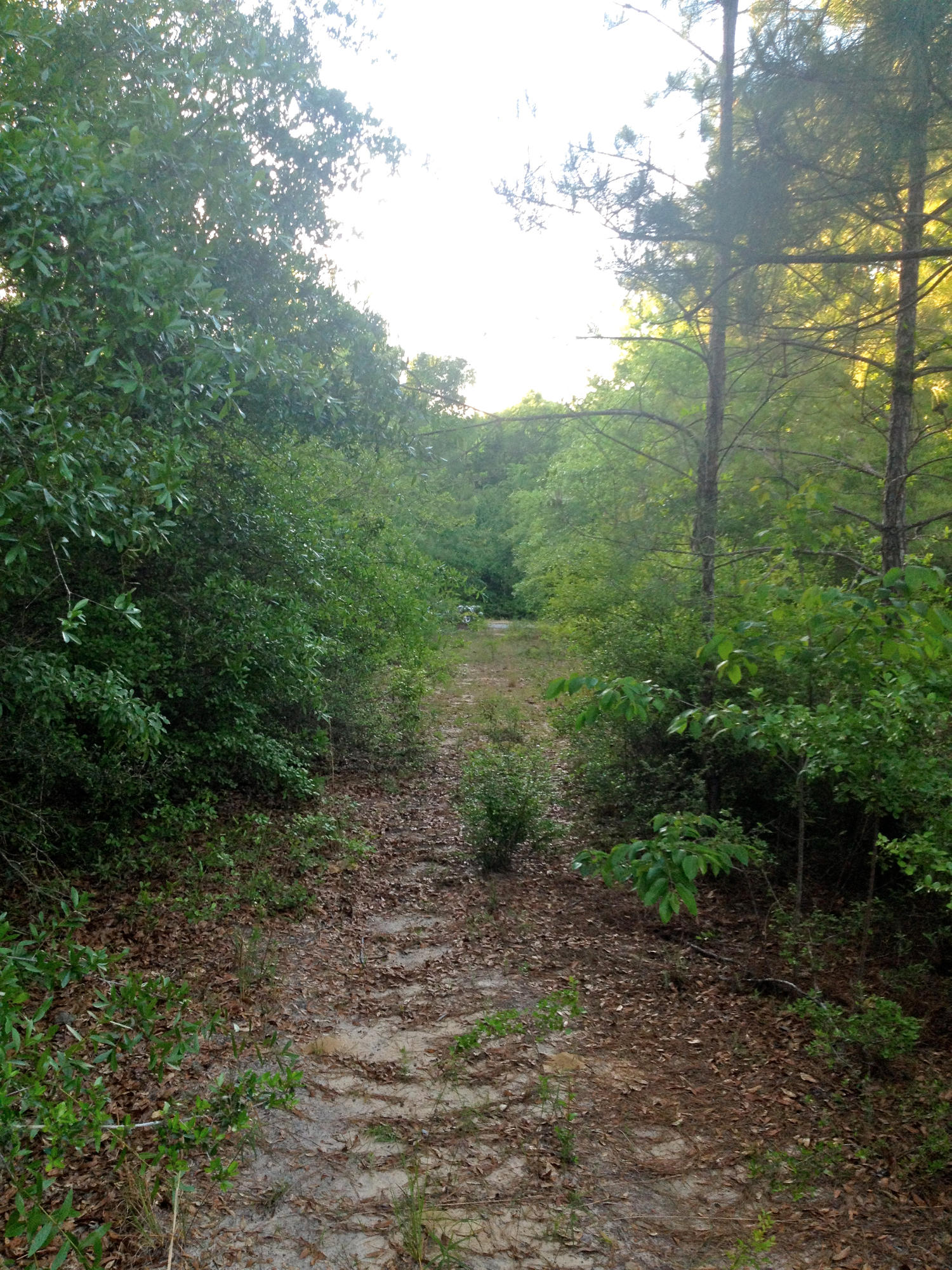 METES & BOUNDS - Land