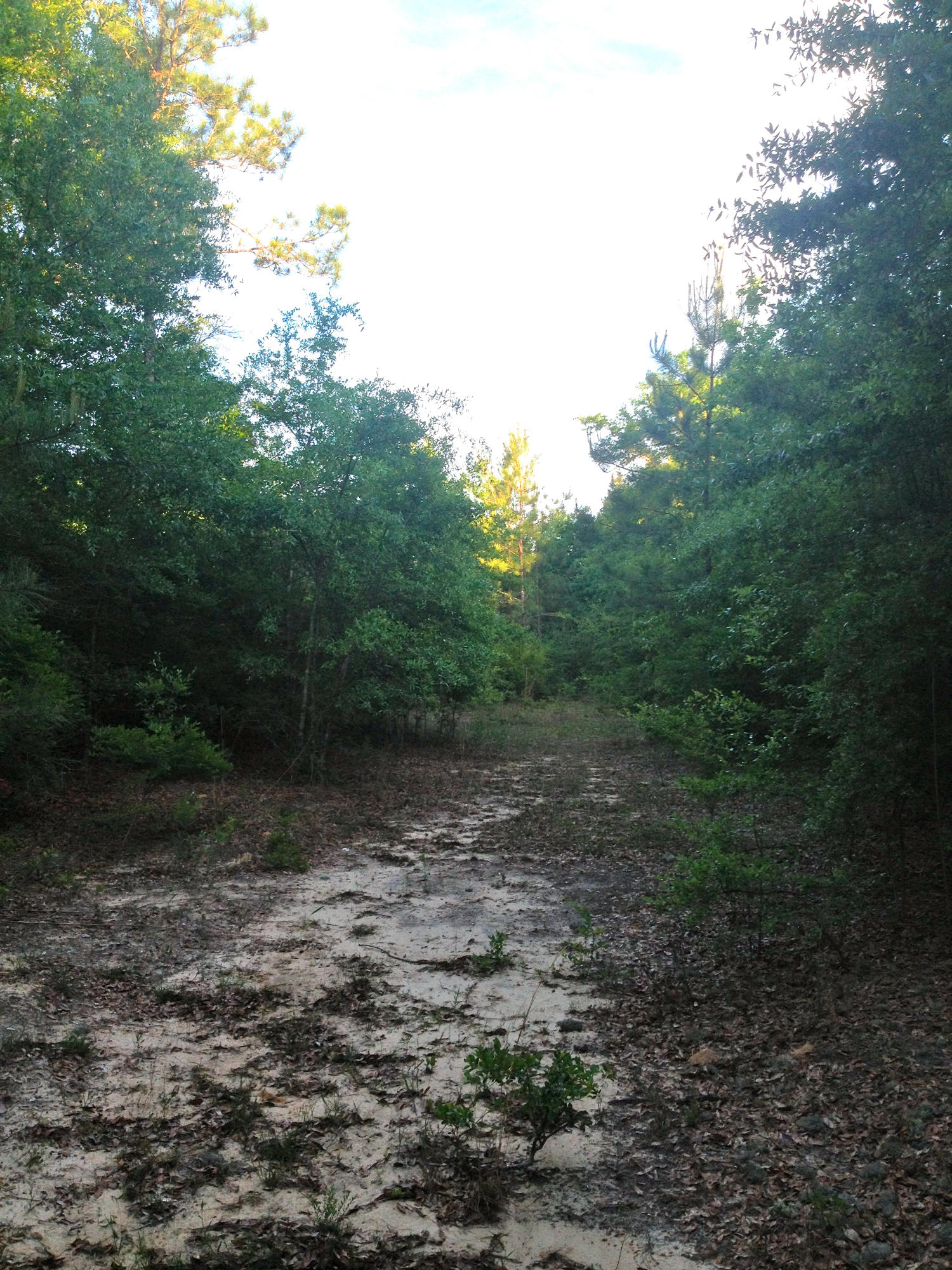 METES & BOUNDS - Land