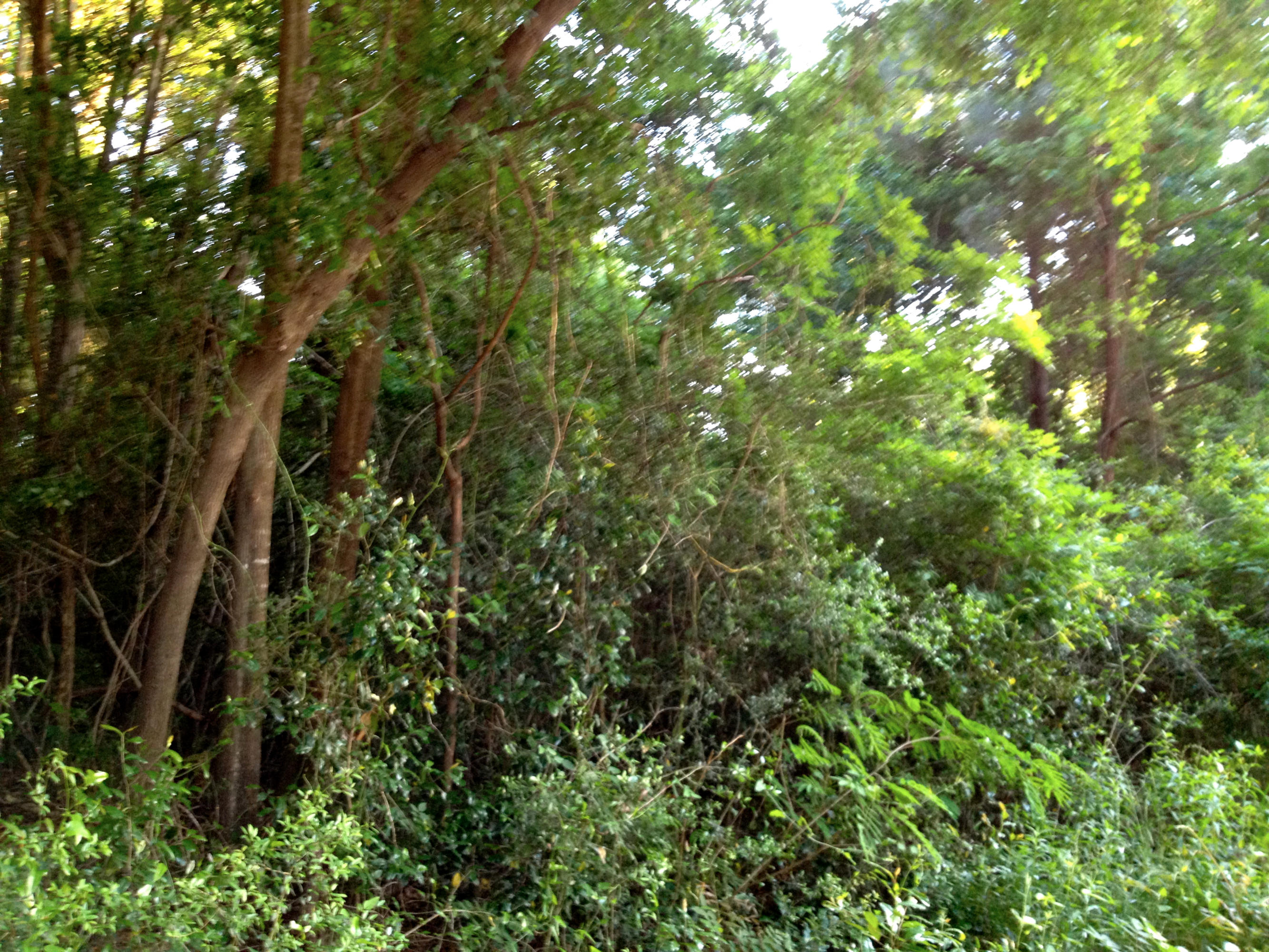 METES & BOUNDS - Land