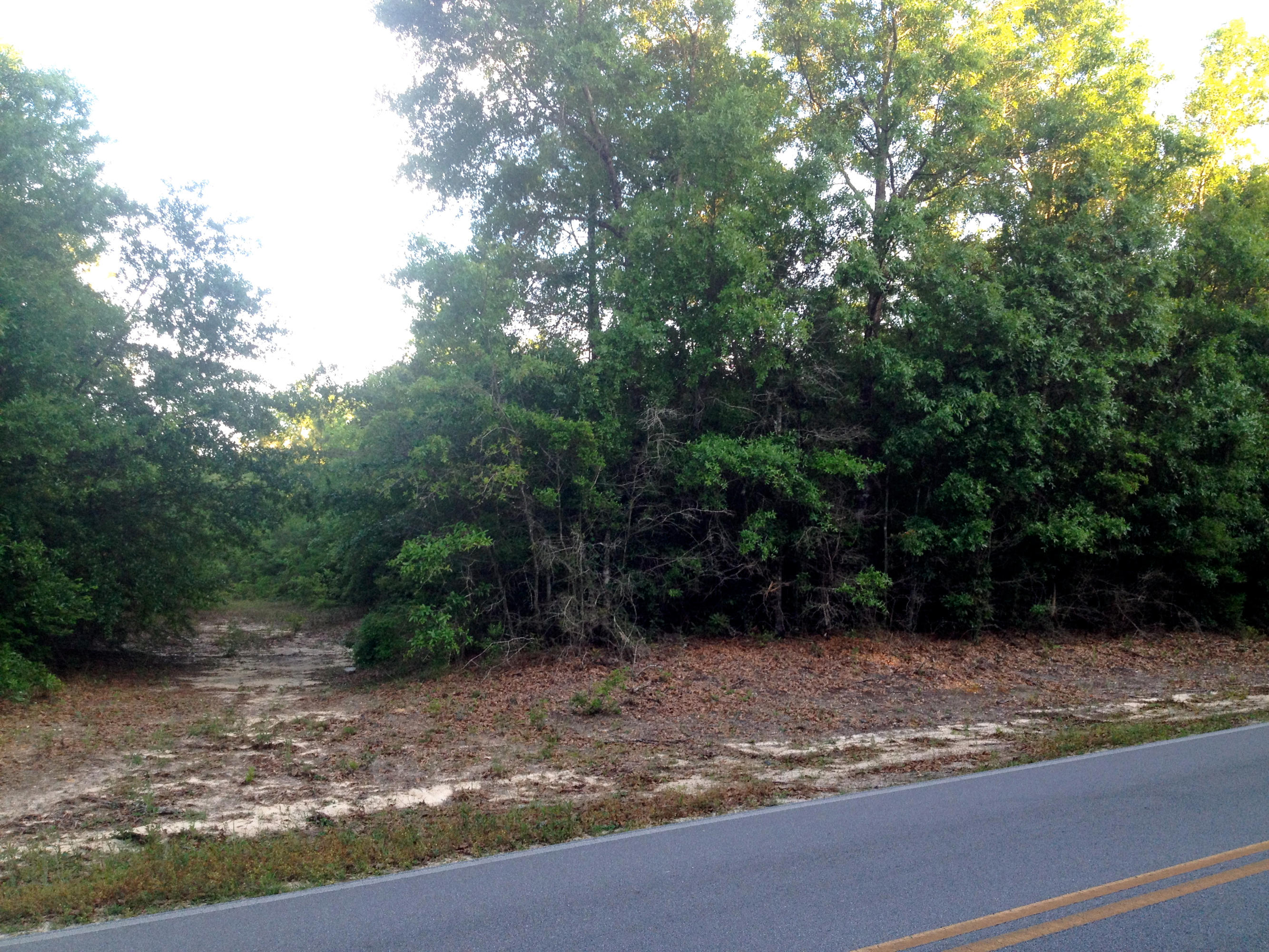 METES & BOUNDS - Land