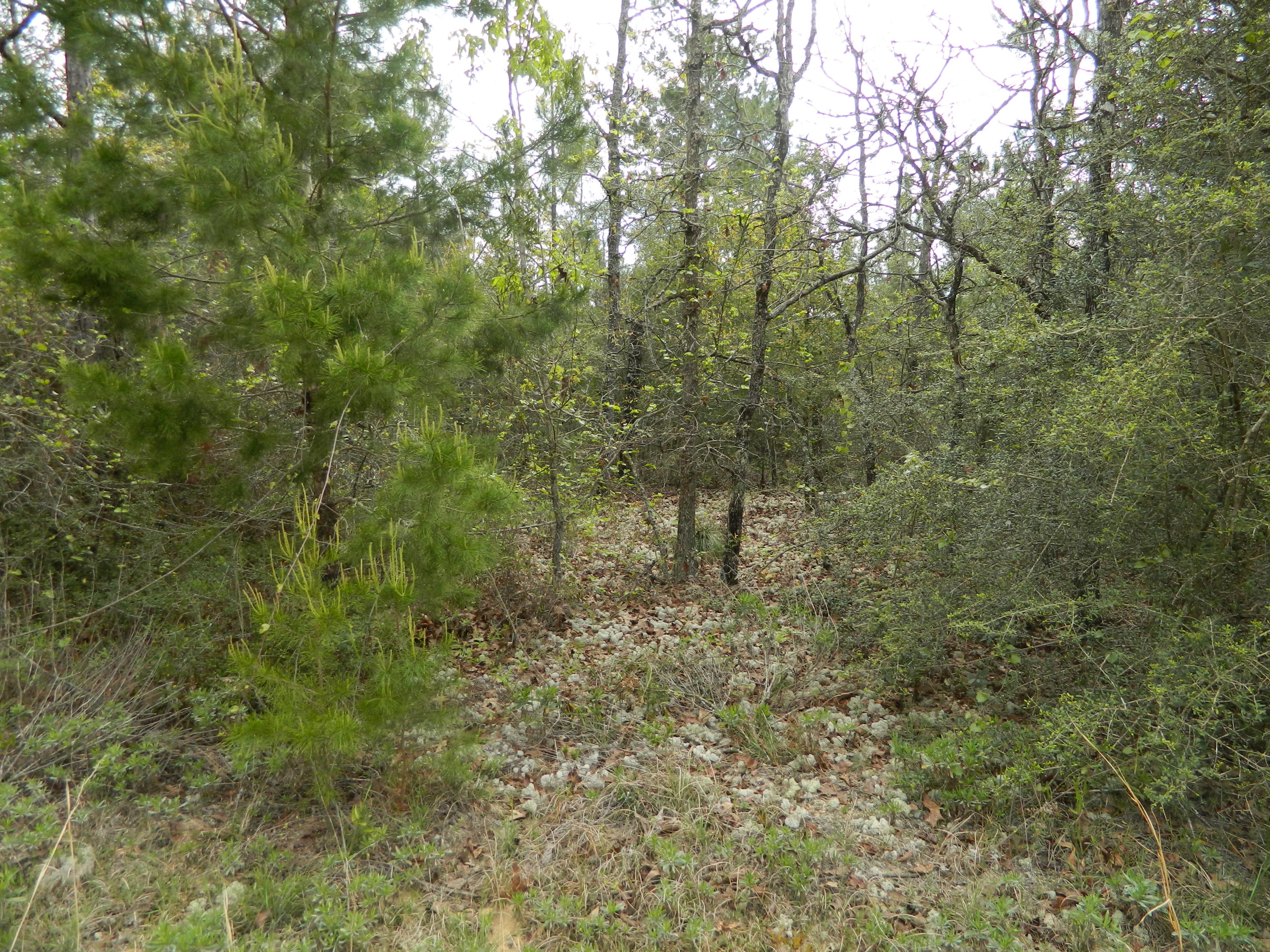 LAIRD CREEK FARMS UNRECCOM - Land