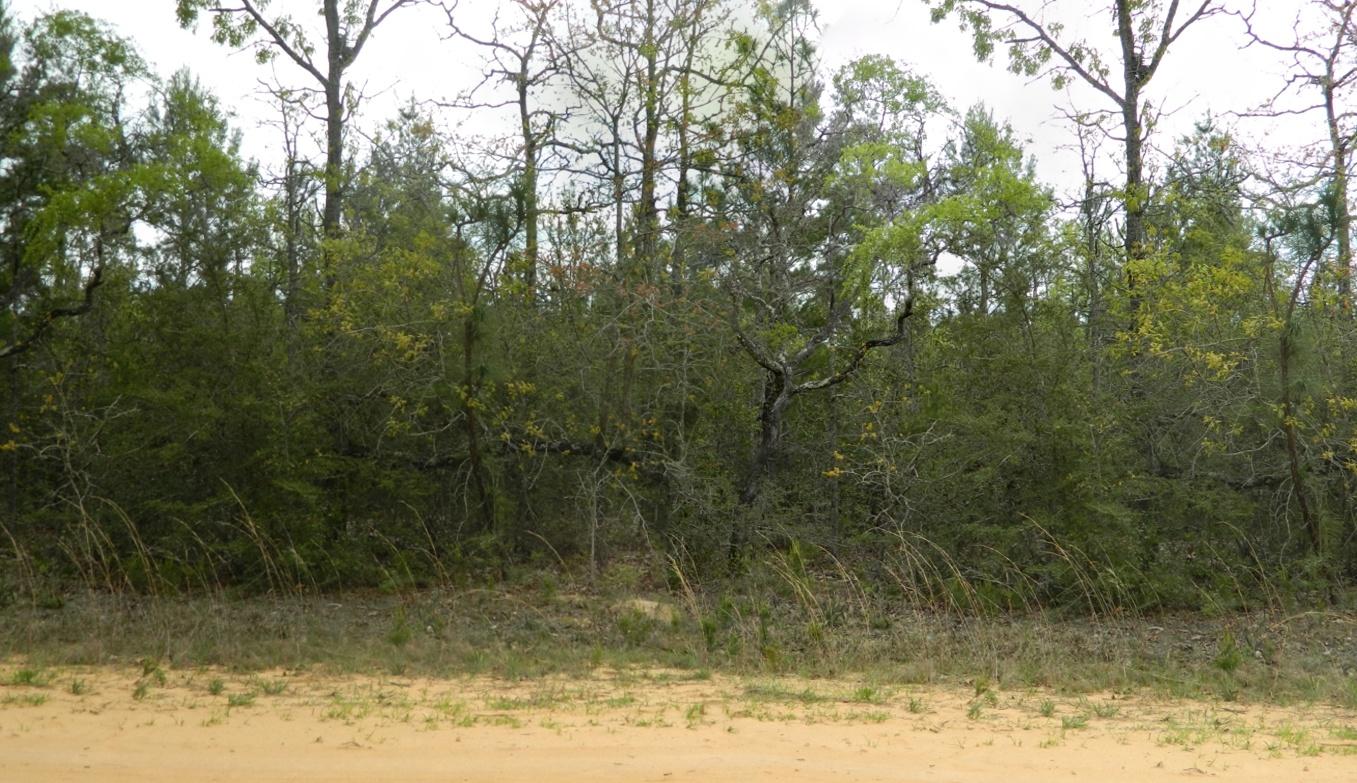 LAIRD CREEK FARMS UNRECCOM - Land