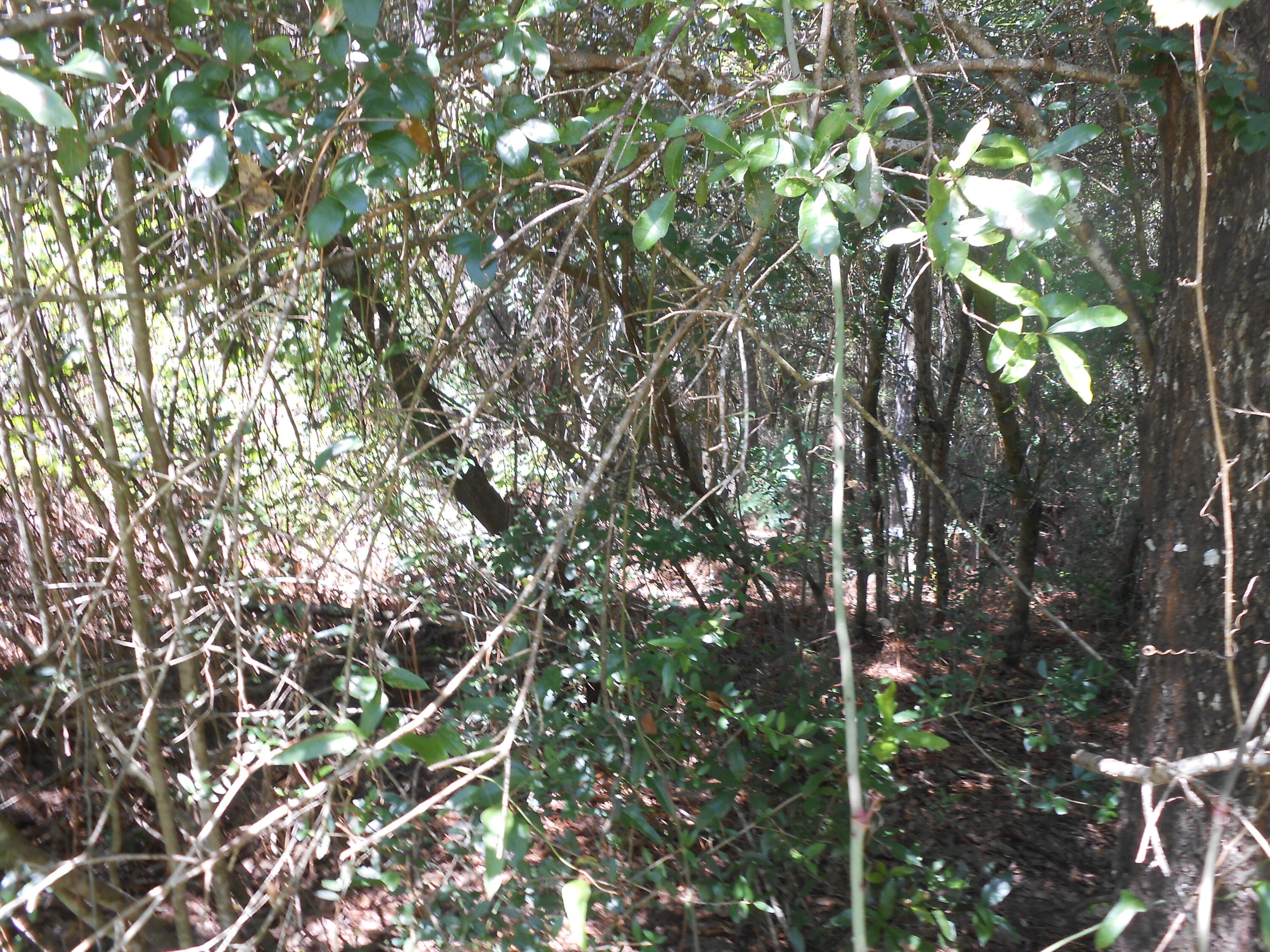 North Supergroup - Land