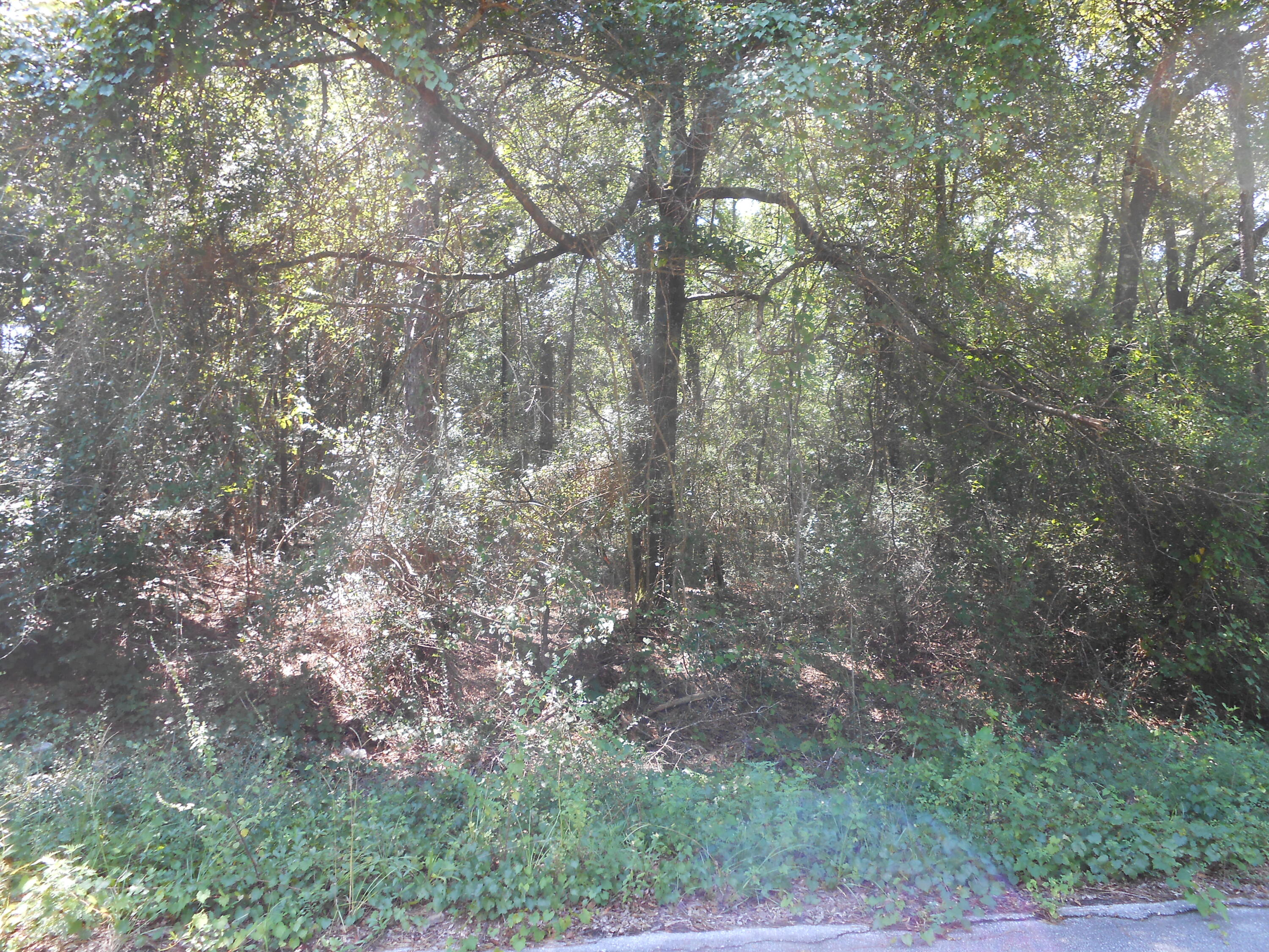 North Supergroup - Land