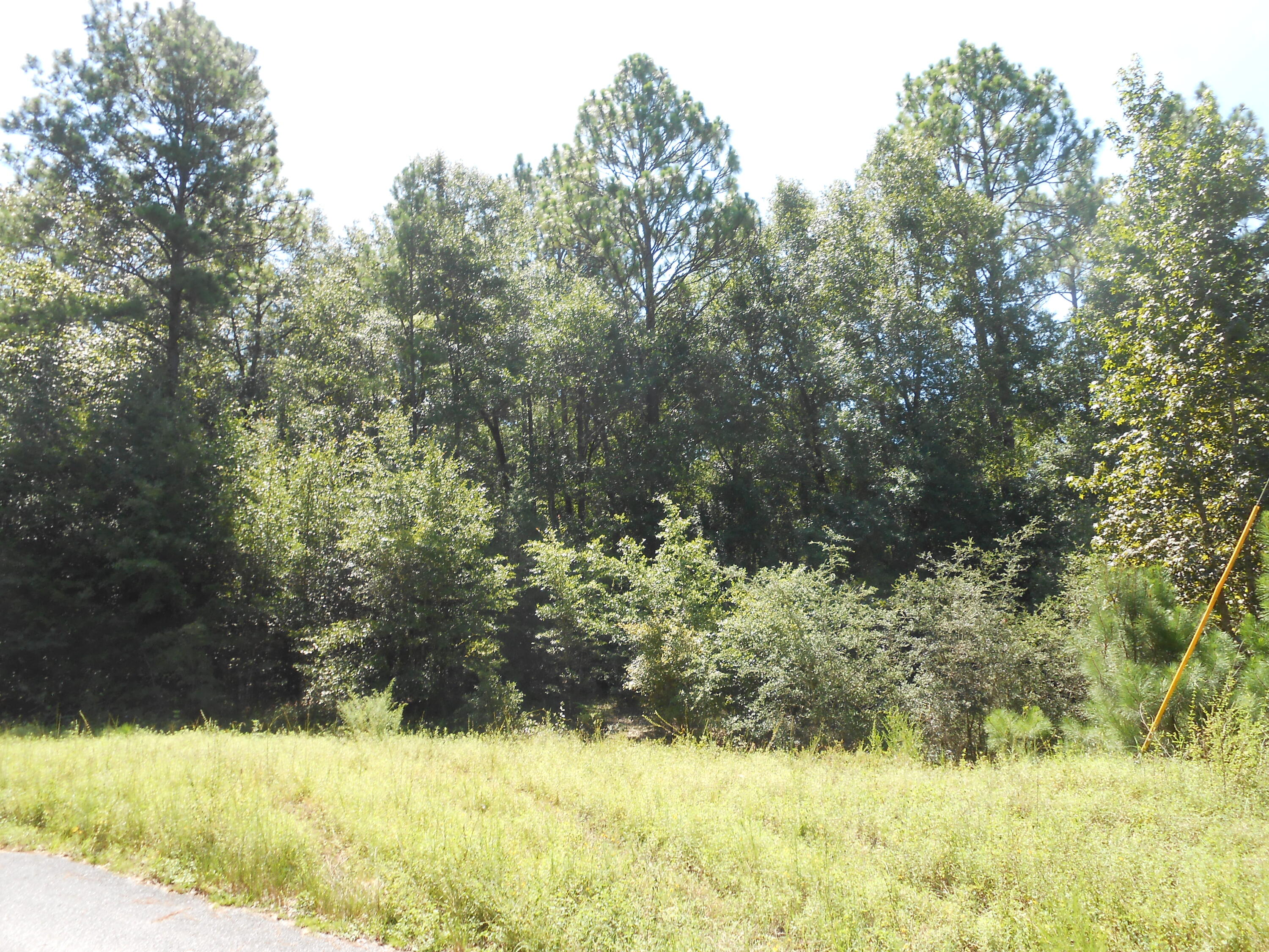 North Supergroup - Land