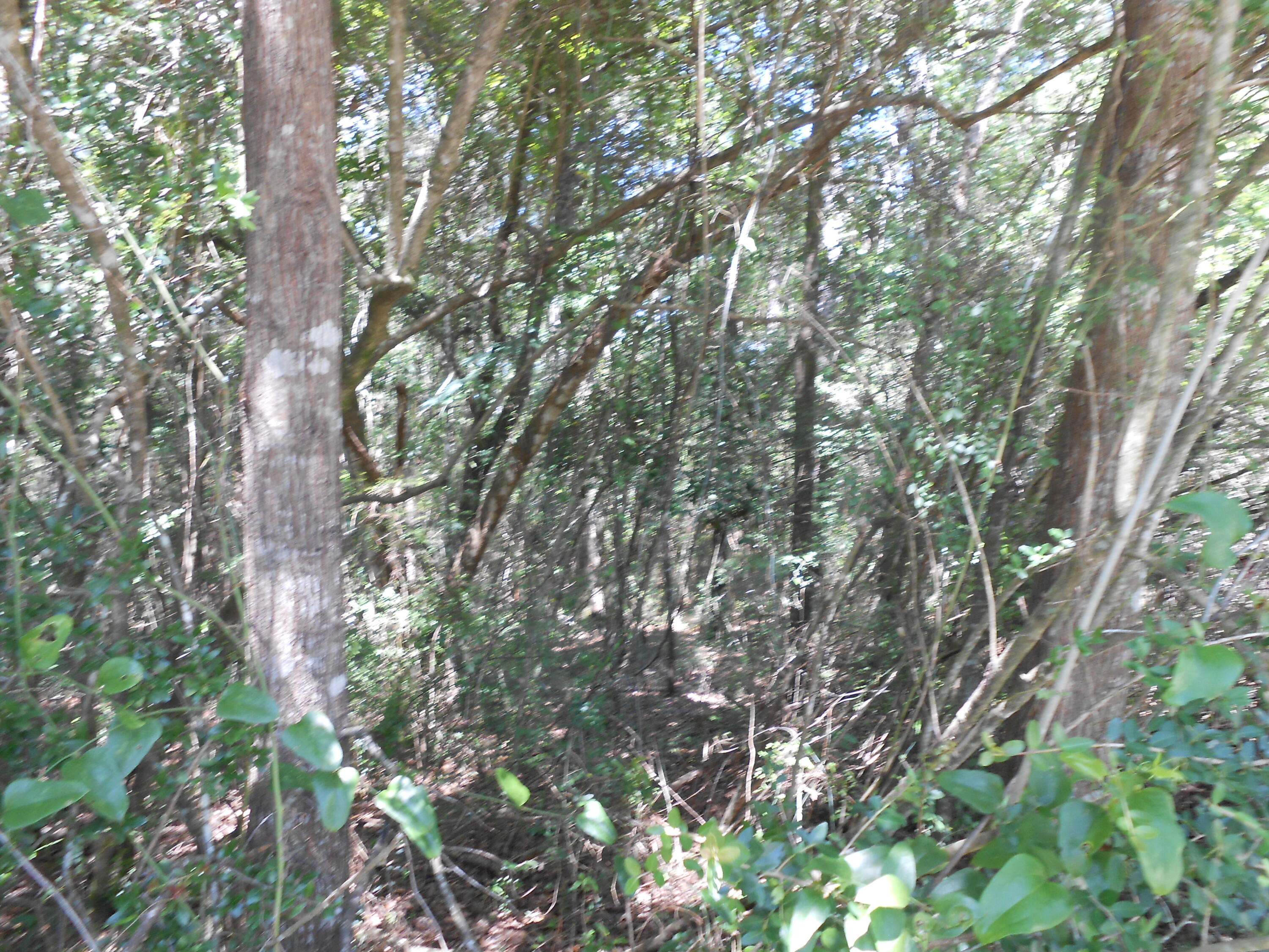 North Supergroup - Land