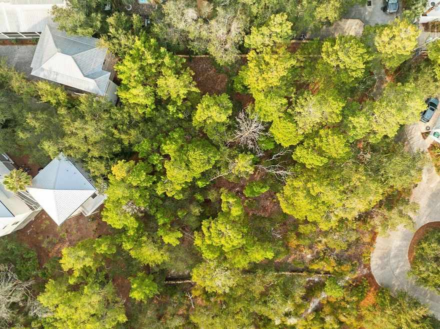 Tucked within the serene surroundings of Draper Lake Coastal Village, this exceptional homesite offers a rare opportunity to build a private retreat in one of 30A's most scenic communities. Positioned near the entrance and surrounded by lush greenery, the heavily wooded lot provides natural seclusion while remaining close to all the amenities and attractions that make this area so desirable. Designed for those seeking a primary or secondary residence, the community emphasizes long-term living over short-term rentals, fostering a sense of connection and tranquility. Residents enjoy access to two swimming pools, dual boathouses for kayak and paddle board storage, nature trails and an observation tower with panoramic views. A network of scenic paths leads to private parking near the beach, offering effortless access to the gulf. Draper Lake itself is a haven for outdoor enthusiasts, with opportunities to kayak or paddleboard directly to the beach. Thoughtful environmental preservation ensures that land within 100 feet of the lake remains untouched, enhancing the area's natural beauty while providing pedestrian access to the water. With its proximity to Blue Mountain, Gulf Place and Grayton Beach, this property is perfectly situated for those who value privacy while staying connected to the best dining, shopping and outdoor adventures along 30A.