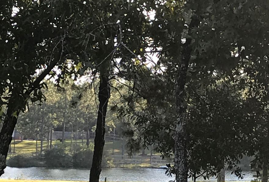 Almost 3 acres to build the home you've always dreamed of, and it's on a lake! Come take a look today!