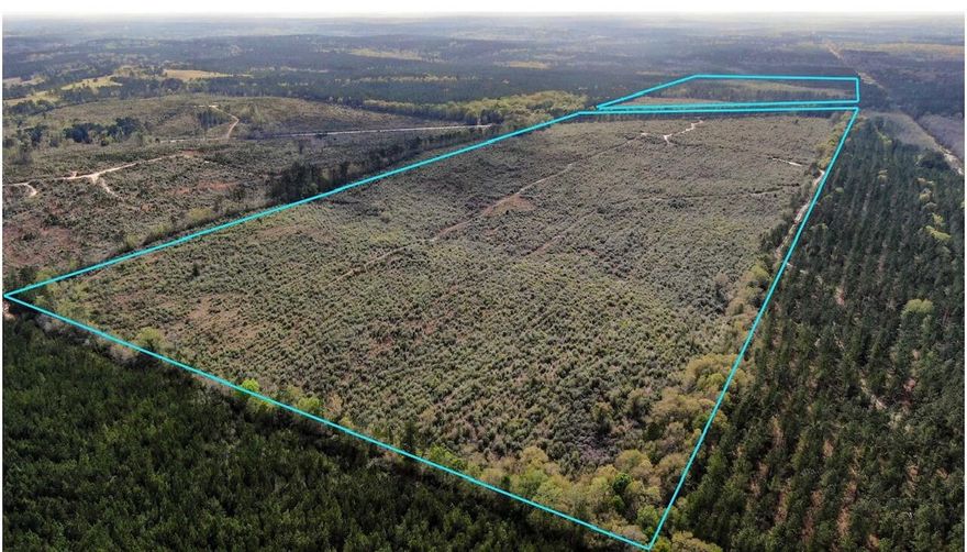 If the country life is for you, then this is your chance! 160 acres with tons of possibilities. Perfect for building your dream home, hunting get-away, or your own farm. This property has 50 acres on the west side of 181 and 109.5 on the east side of 181. Seller will owner finance with 50% down.  Buyer must verify all measurements.