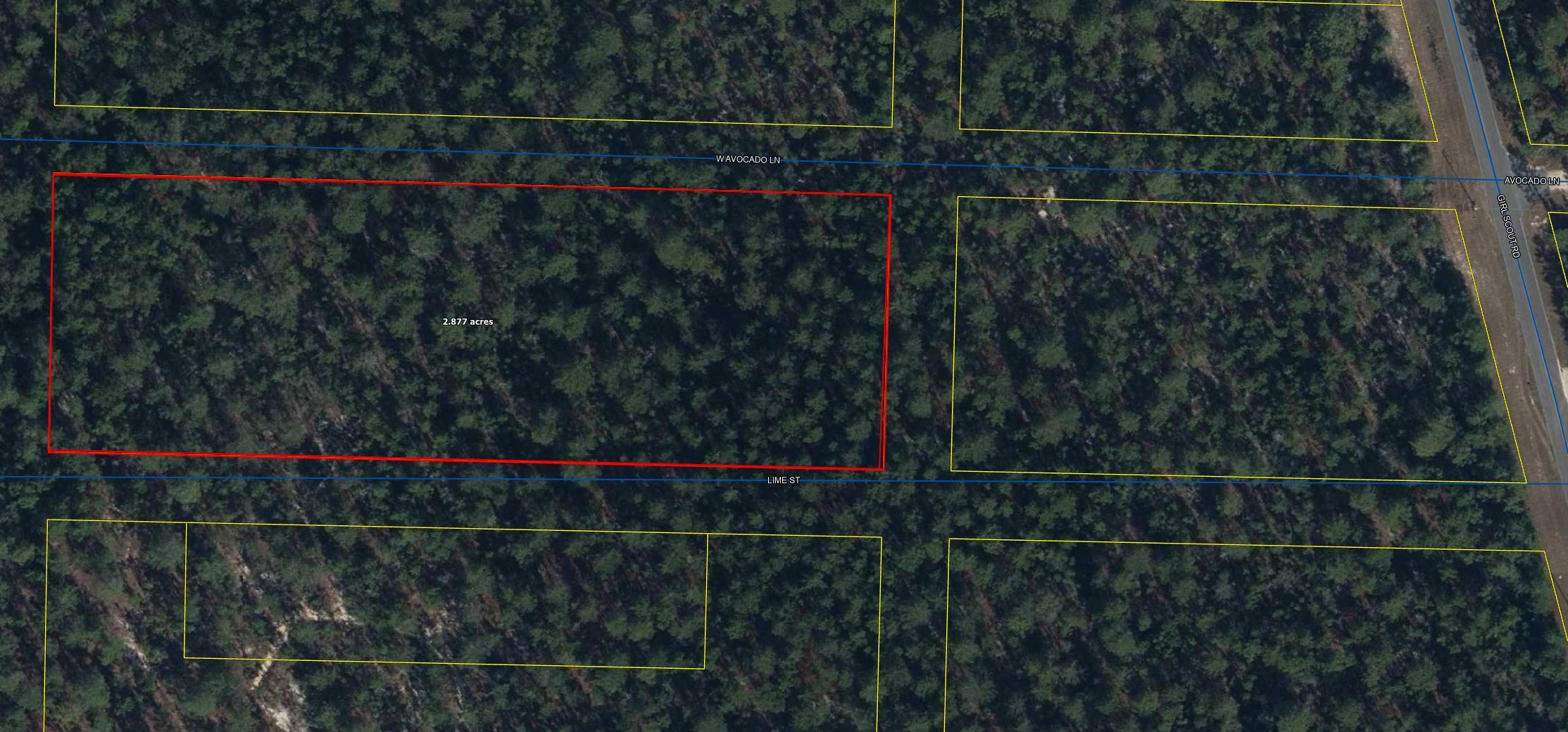 Looking for larger acreage to build in the growing Mossy Head area in North Walton County? These 48 lots will make the perfect location for your forever home or possibly subdivide for an investor. Property is just off of Girl Scout Road and if you have a need to board horses, stables are right down the road. Conveniently located to I-10 corridor, Blackstone Golf Course and 45 minutes to South Walton Beaches. Walton County School District is an A+ District with Mossy Head Elementary in close proximity. No utilities in place at this time.