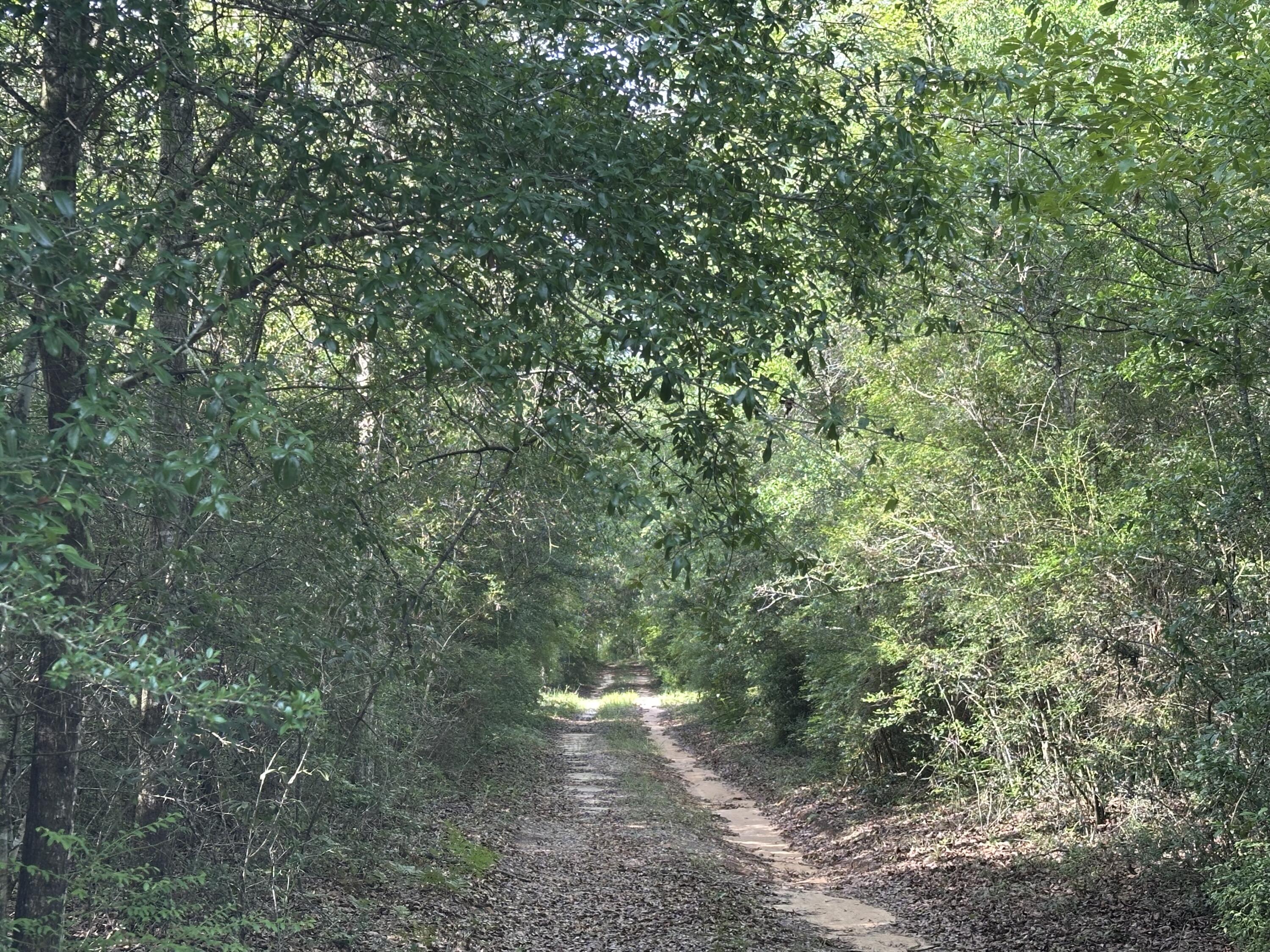 NO RECORDED SUBDIVISION - Land