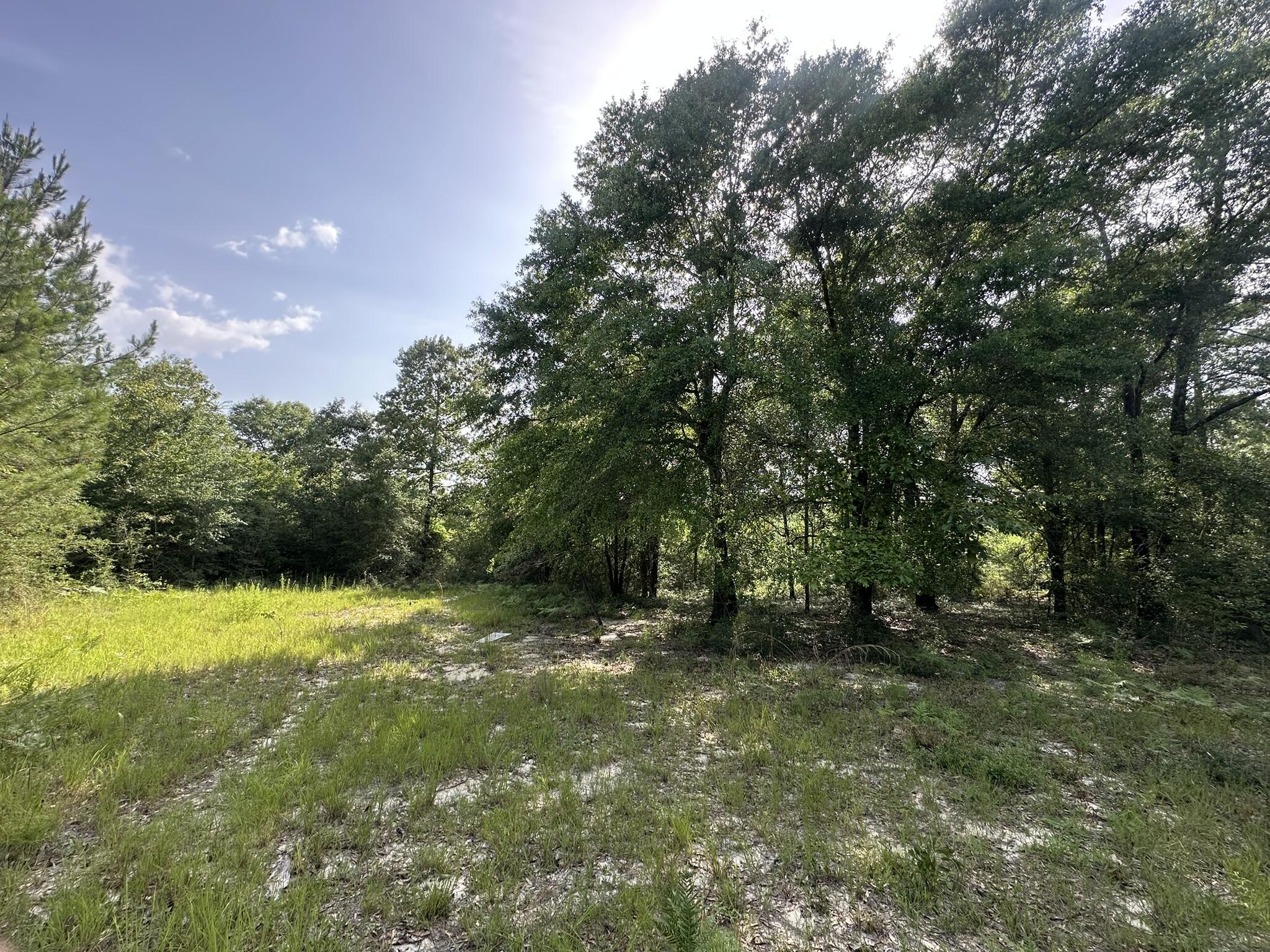 NO RECORDED SUBDIVISION - Land