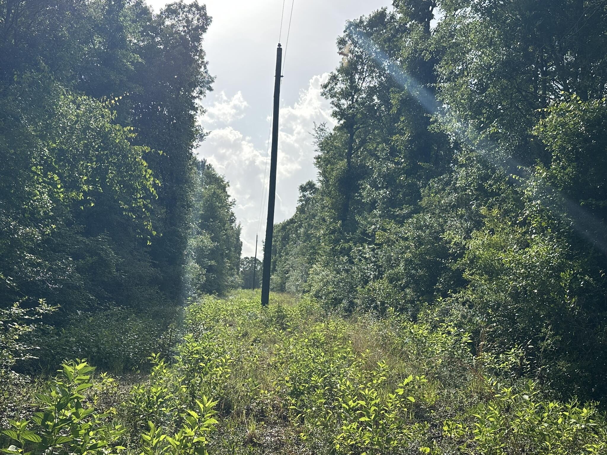 NO RECORDED SUBDIVISION - Land