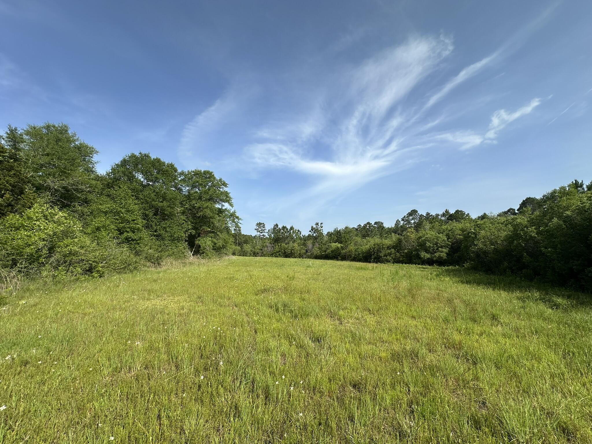 NO RECORDED SUBDIVISION - Land
