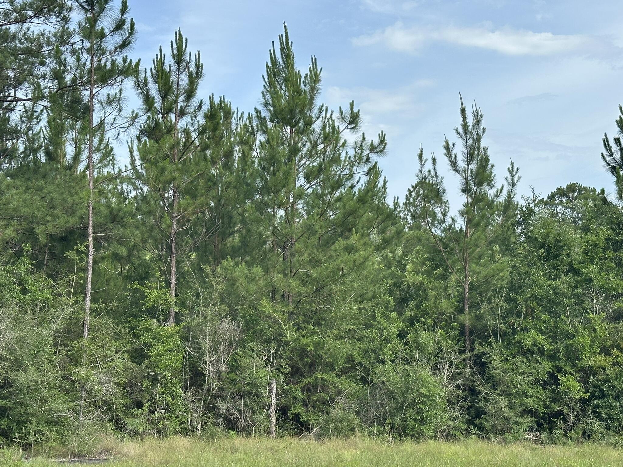 NO RECORDED SUBDIVISION - Land