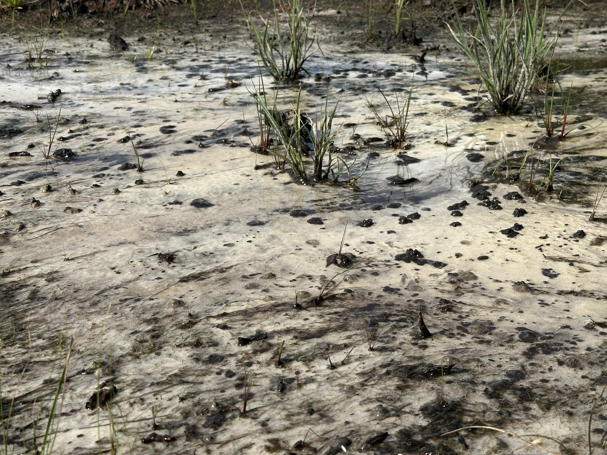 NO RECORDED SUBDIVISION - Land