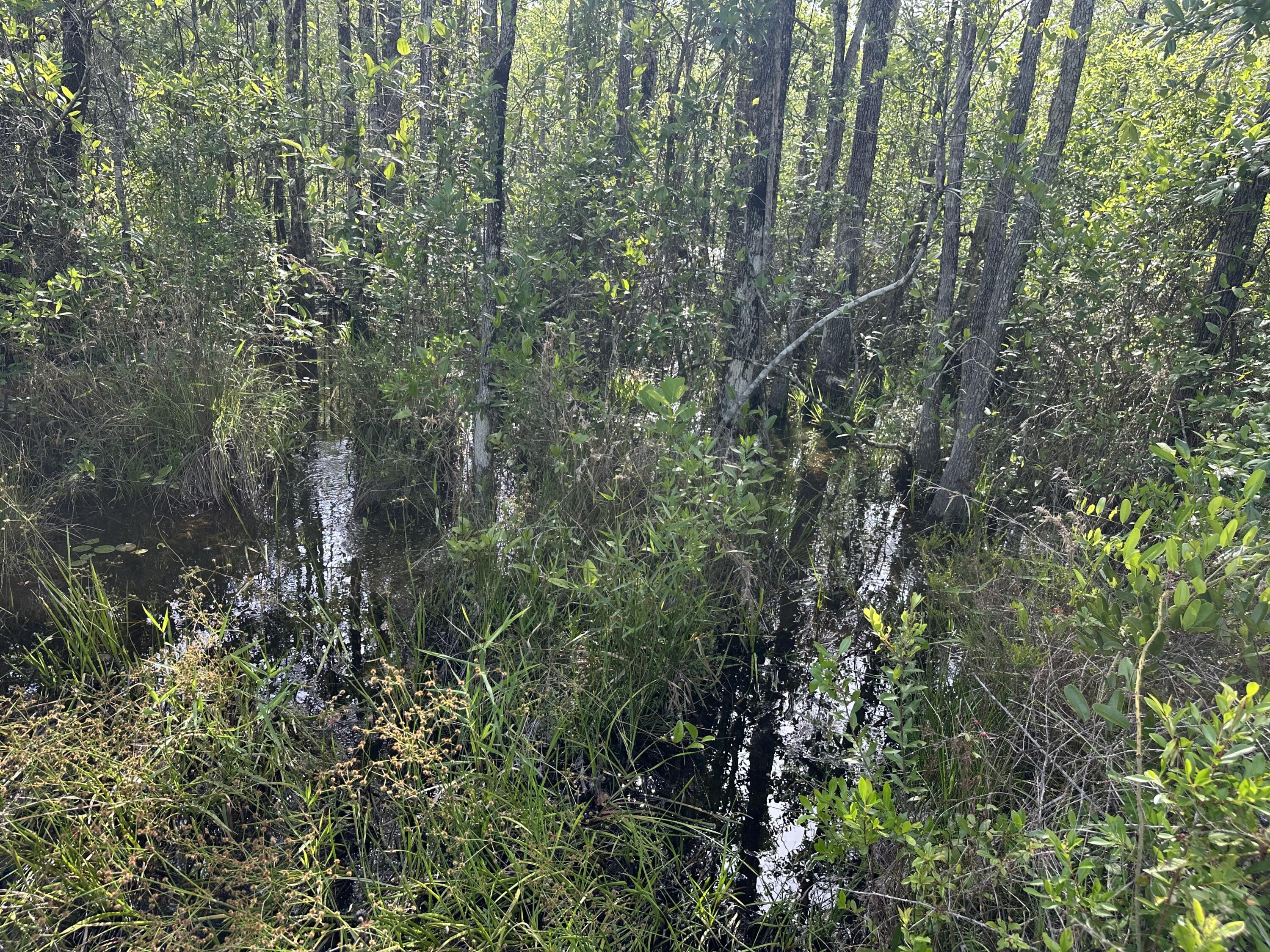 NO RECORDED SUBDIVISION - Land