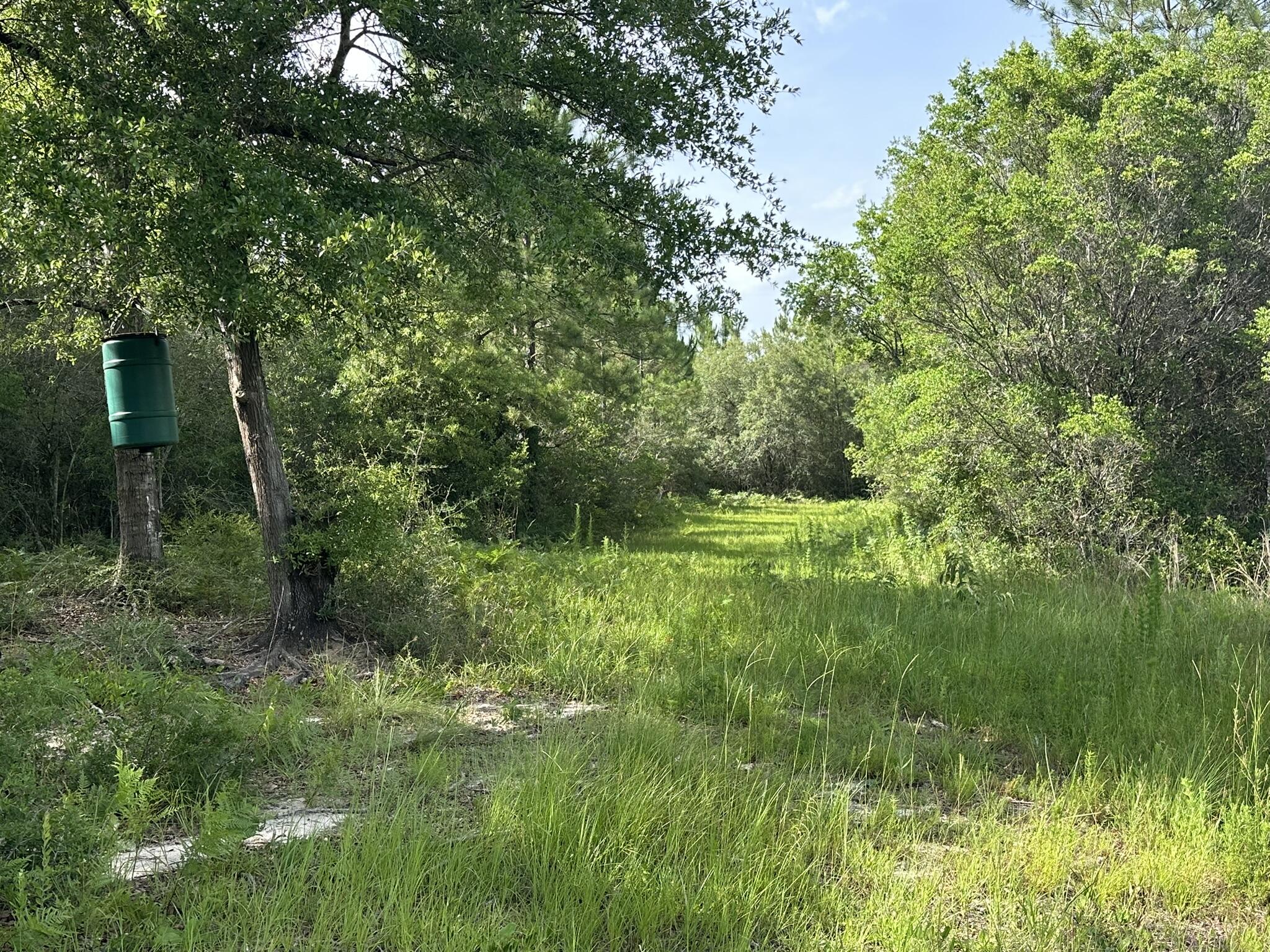 NO RECORDED SUBDIVISION - Land