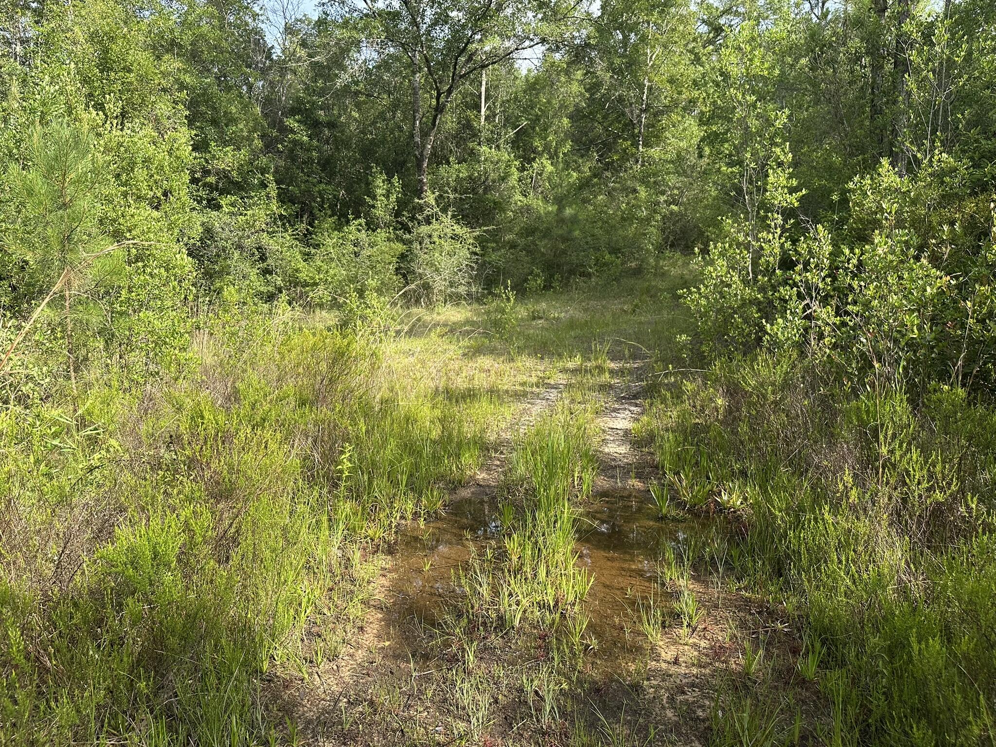 NO RECORDED SUBDIVISION - Land