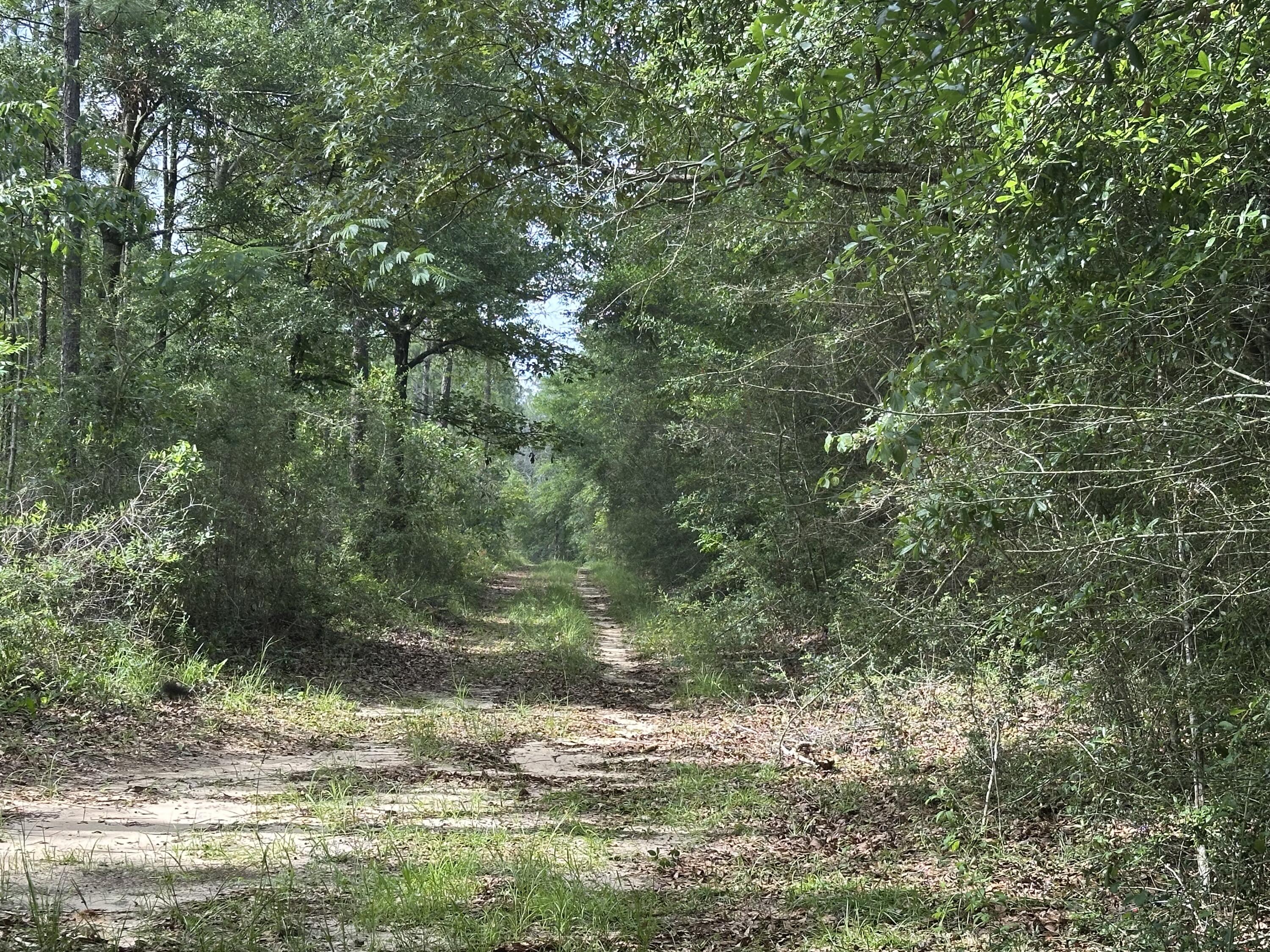 NO RECORDED SUBDIVISION - Land