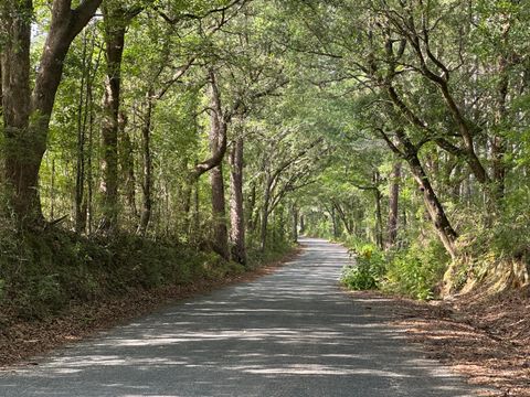 164.19 AC Old River Road Baker FL 32531