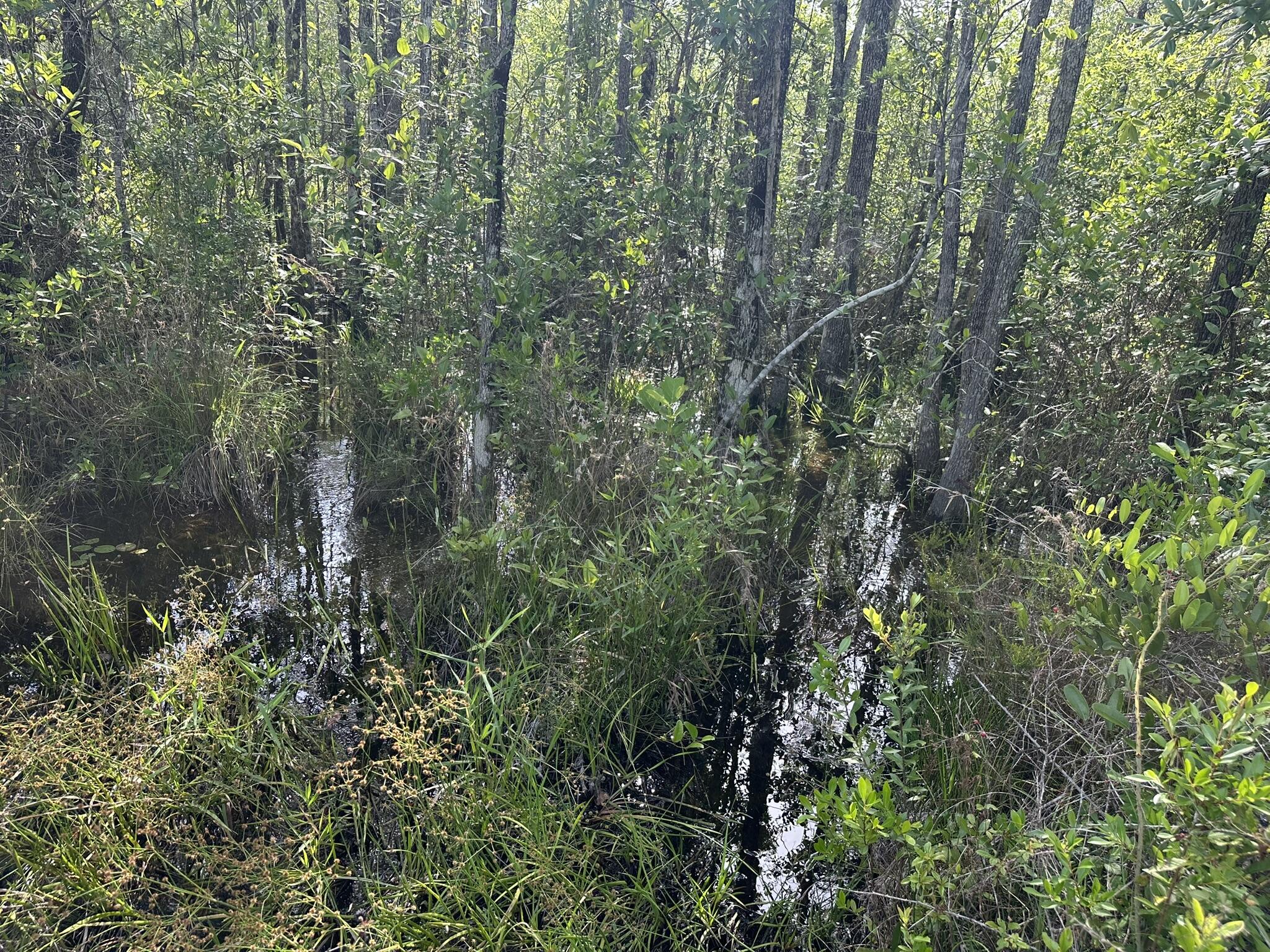 NO RECORDED SUBDIVISION - Land