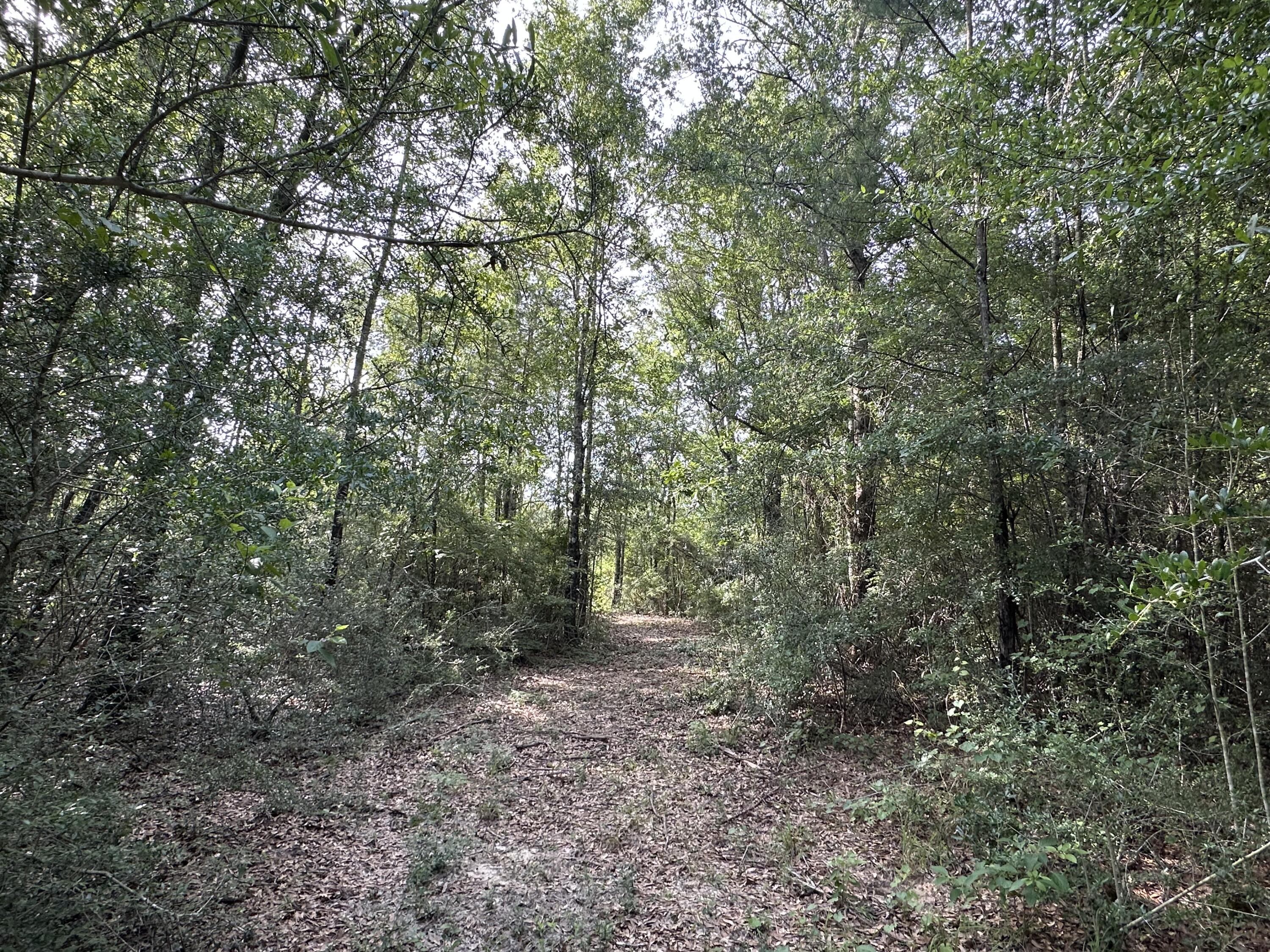 NO RECORDED SUBDIVISION - Land