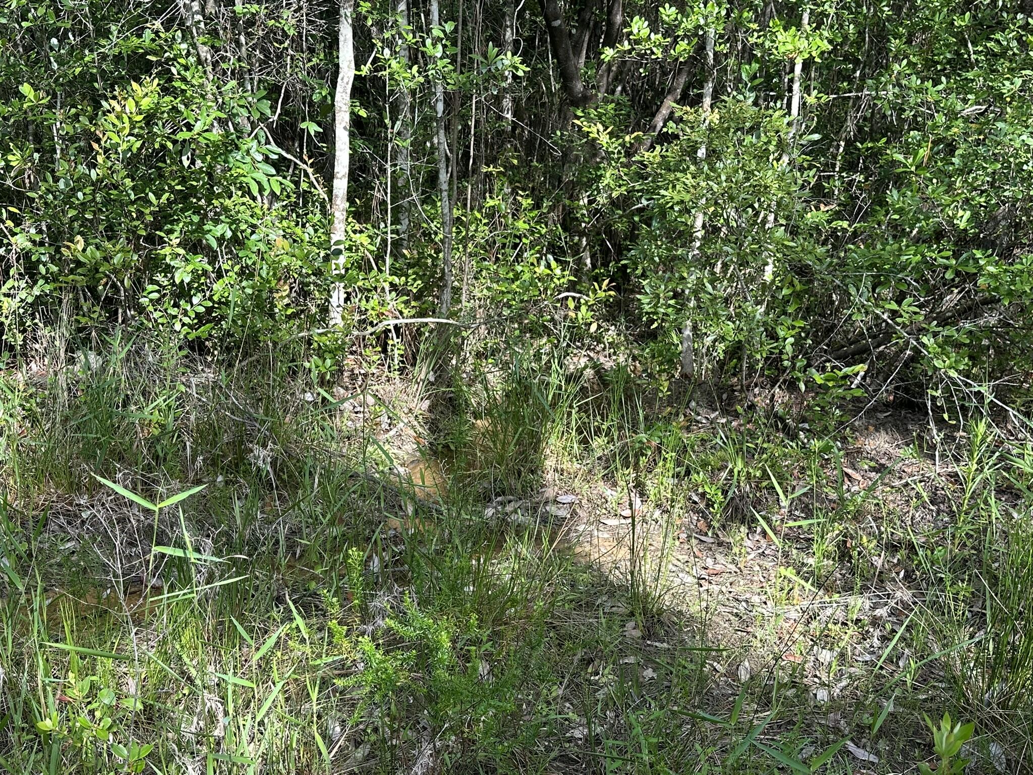 NO RECORDED SUBDIVISION - Land