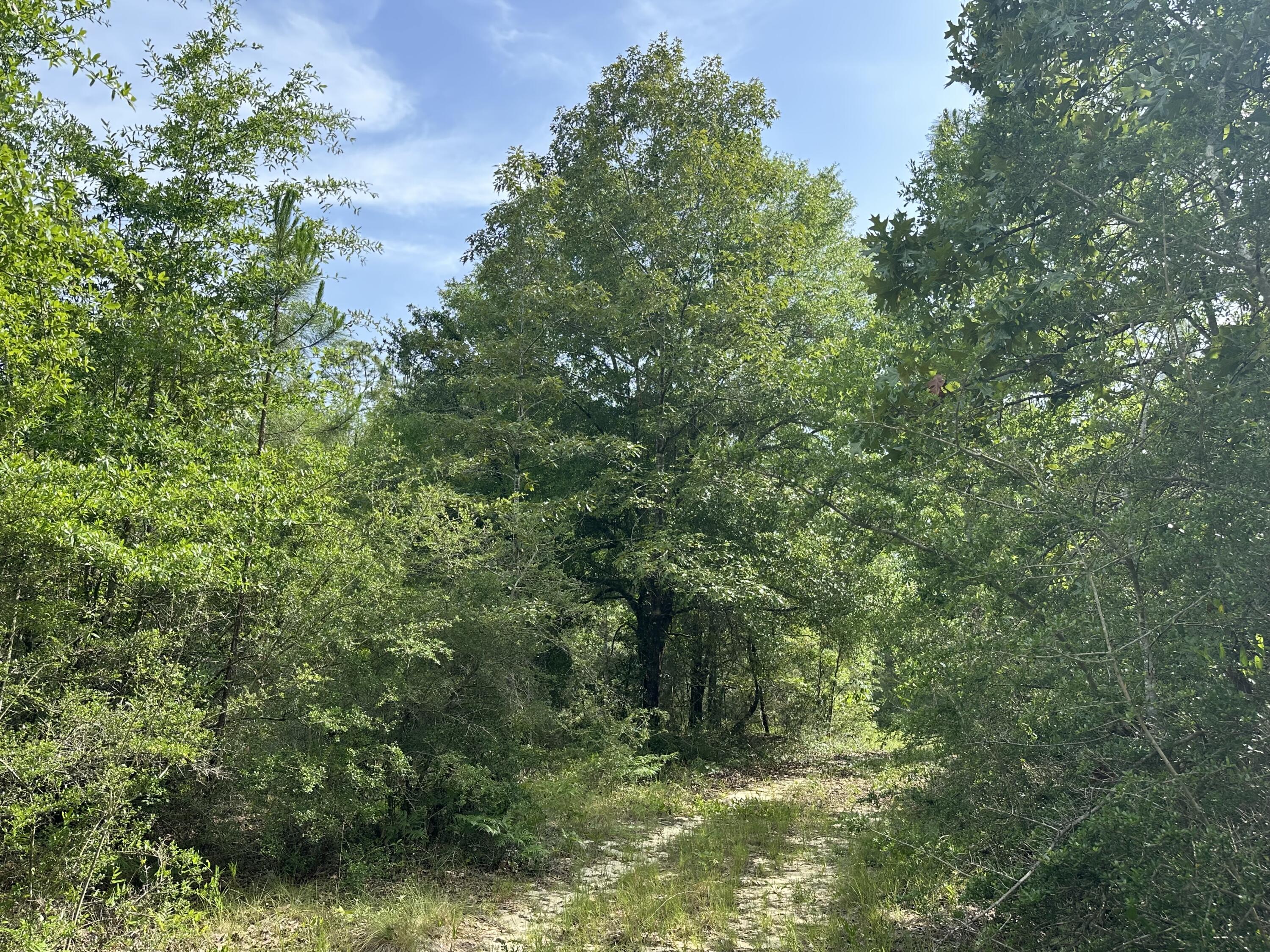 NO RECORDED SUBDIVISION - Land