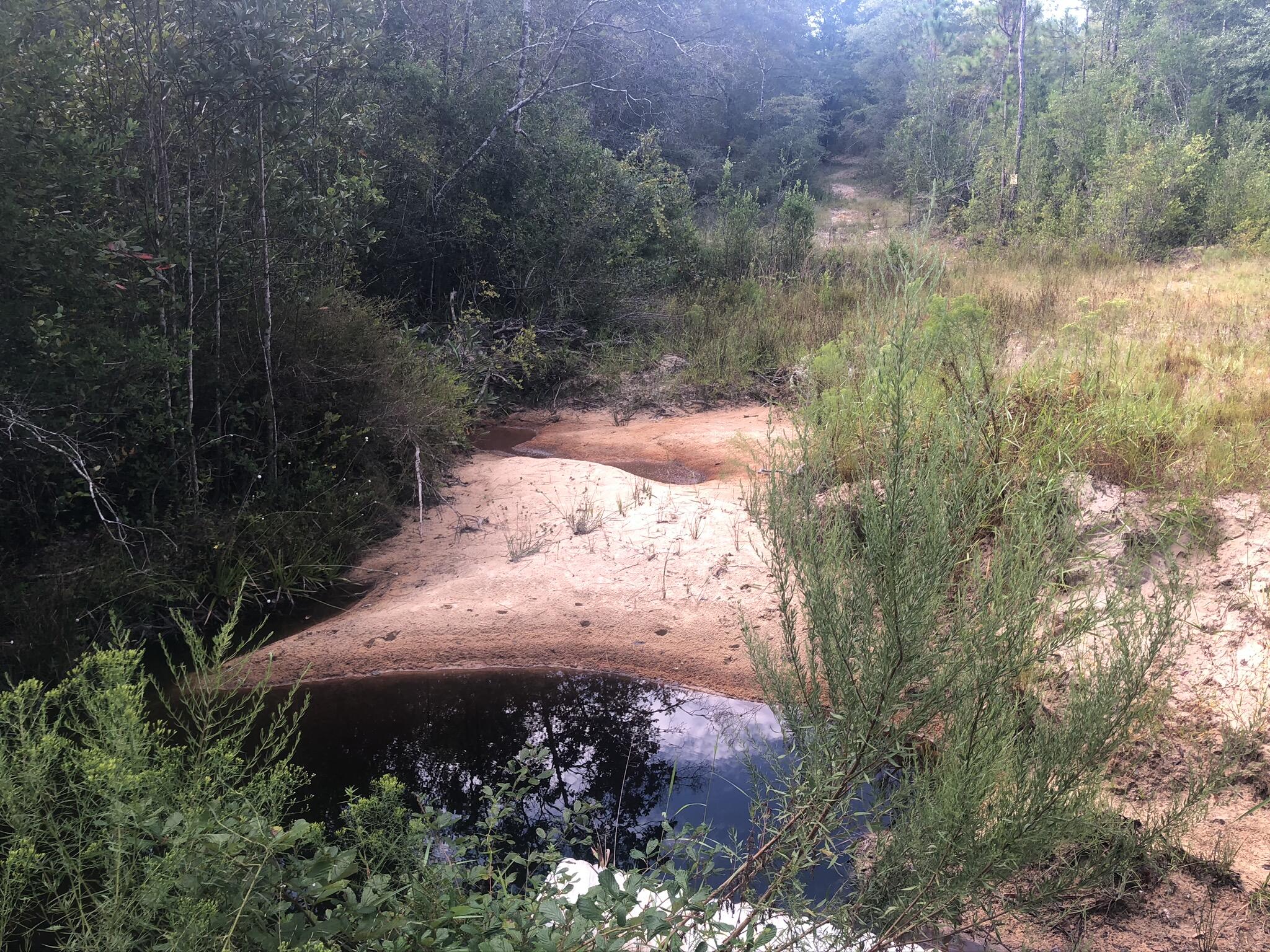 NO RECORDED SUBDIVISION - Land